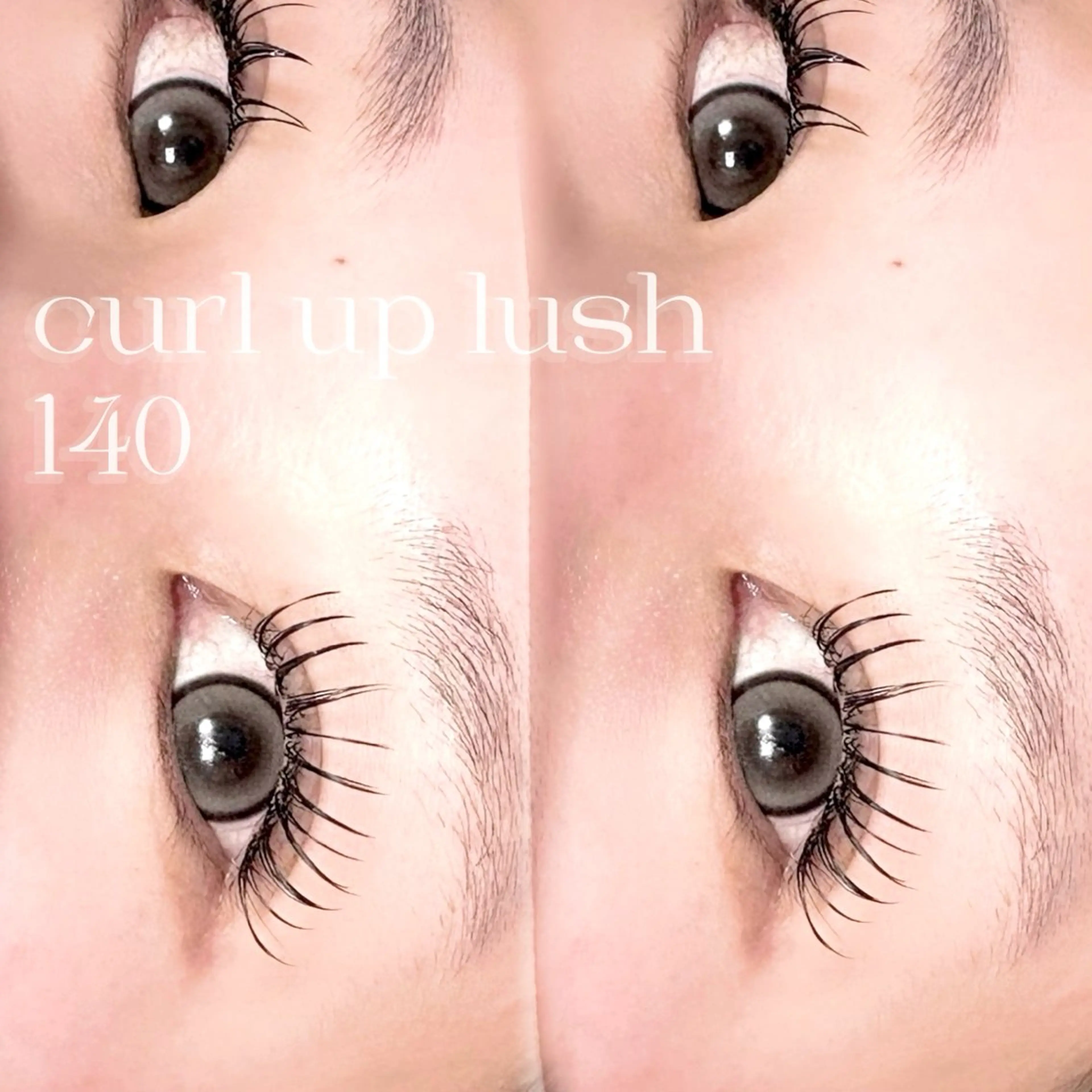 〔3回目まで同価格🦋〕アップワードラッシュ風⤴️130本『オフ+550円・LEDオフ+880円』の写真