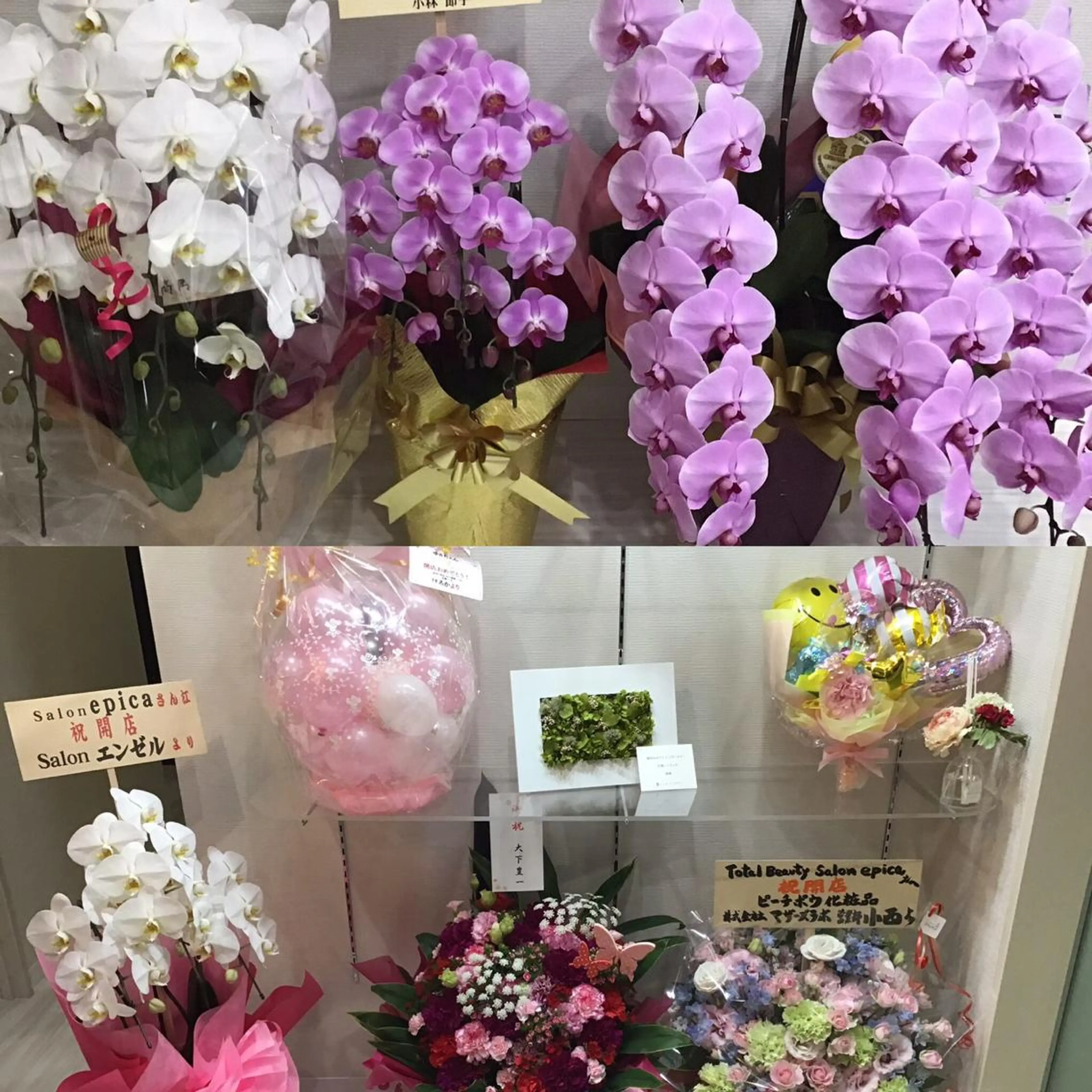 epica salonの眉毛・アイブロウイメージ