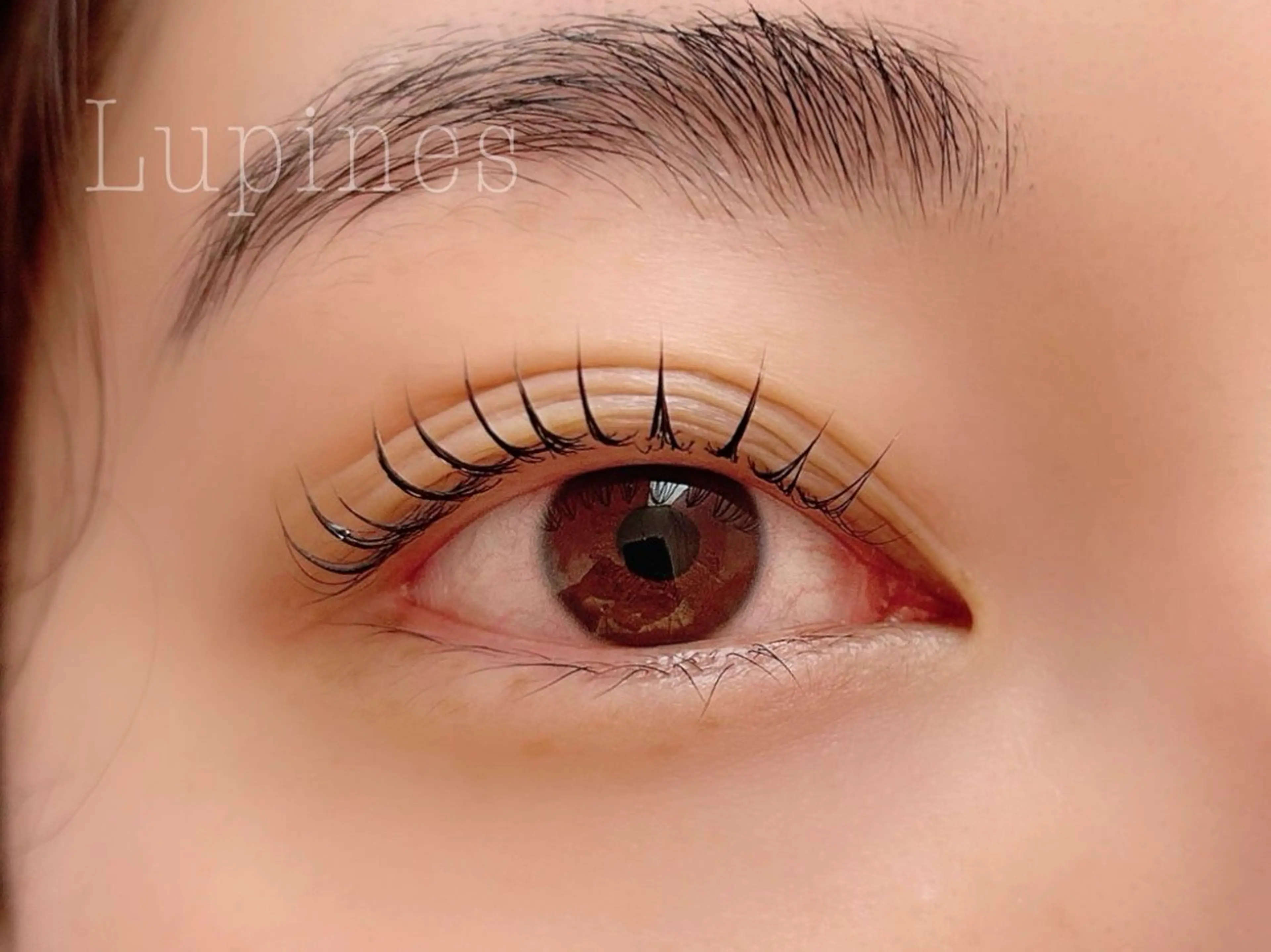 マツエク・マツパ 一重×まつ毛パーマ 🌱Lupines Natsumi🌱のマツエク・マツパデザイン