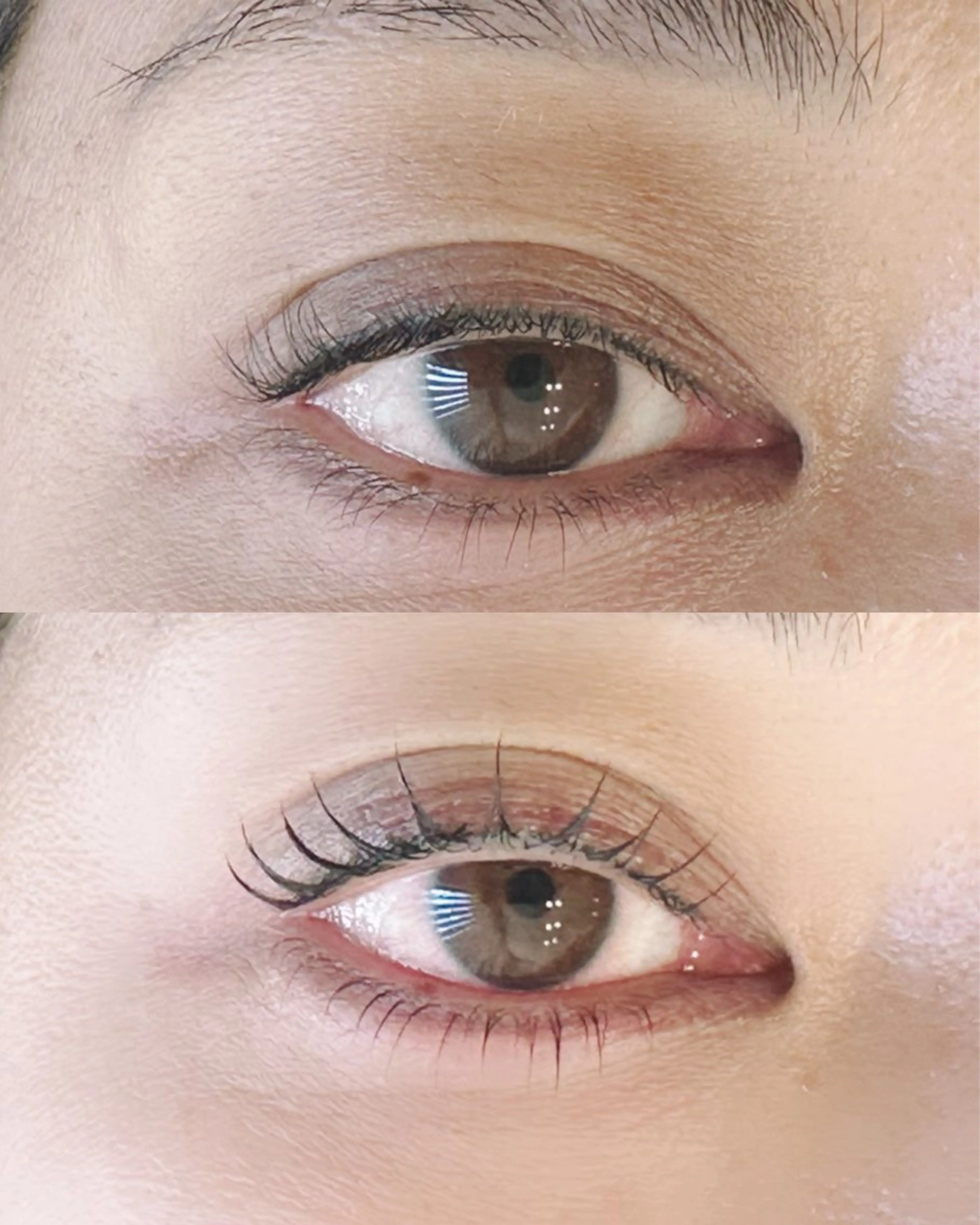 マツエク・マツパ まつ毛・眉/ 練習＆モニター専用のマツエク・マツパデザイン