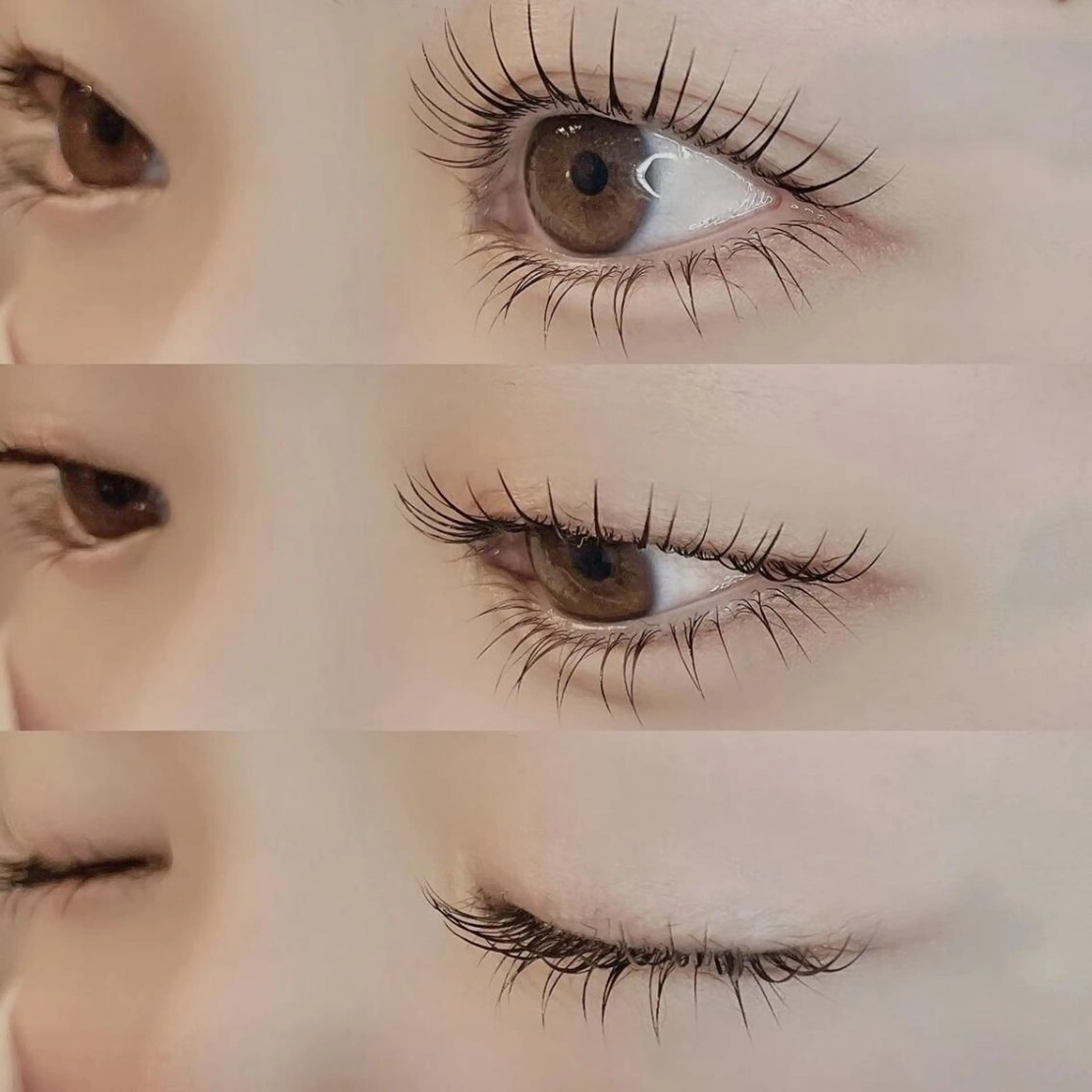 マツエク・マツパ マツパ まつげパーマ専門店 FOIのマツエク・マツパデザイン