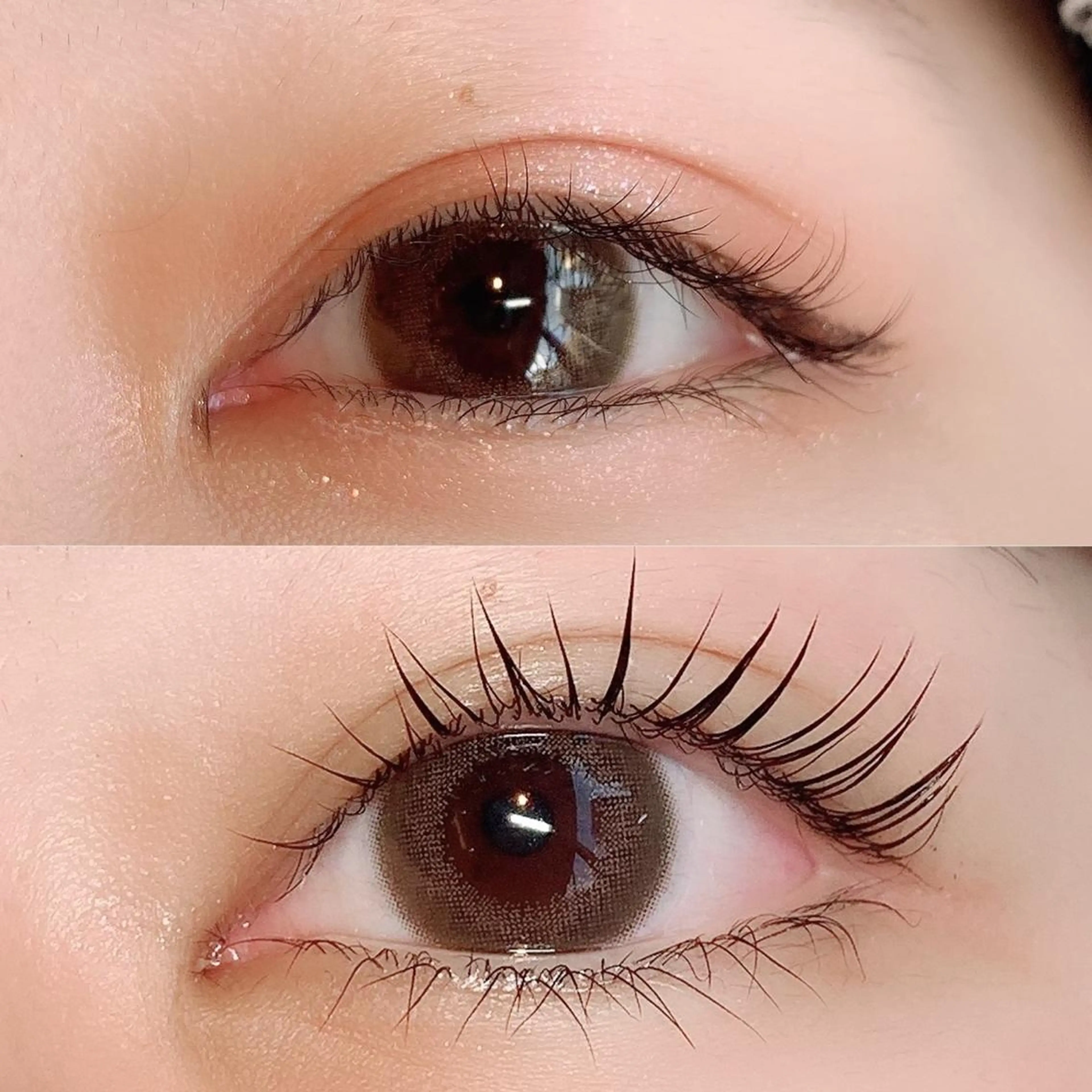 大人気❤️パリジェンヌラッシュリフト+ケラチントリートメント❤️の写真