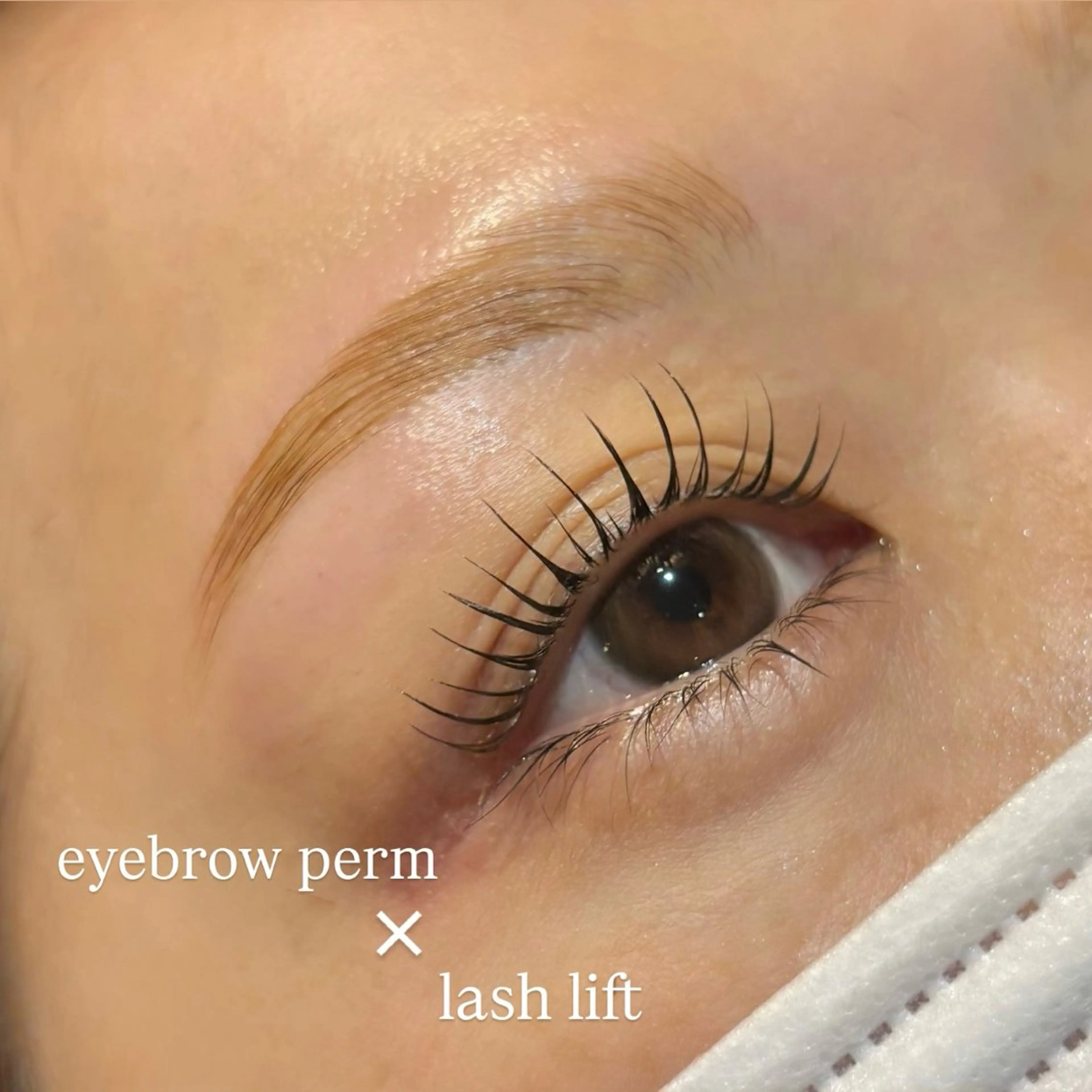 【人気No.2🥈】パリジェンヌ➕眉毛WAX脱毛/美容液コーティング付/保湿ケア付の写真