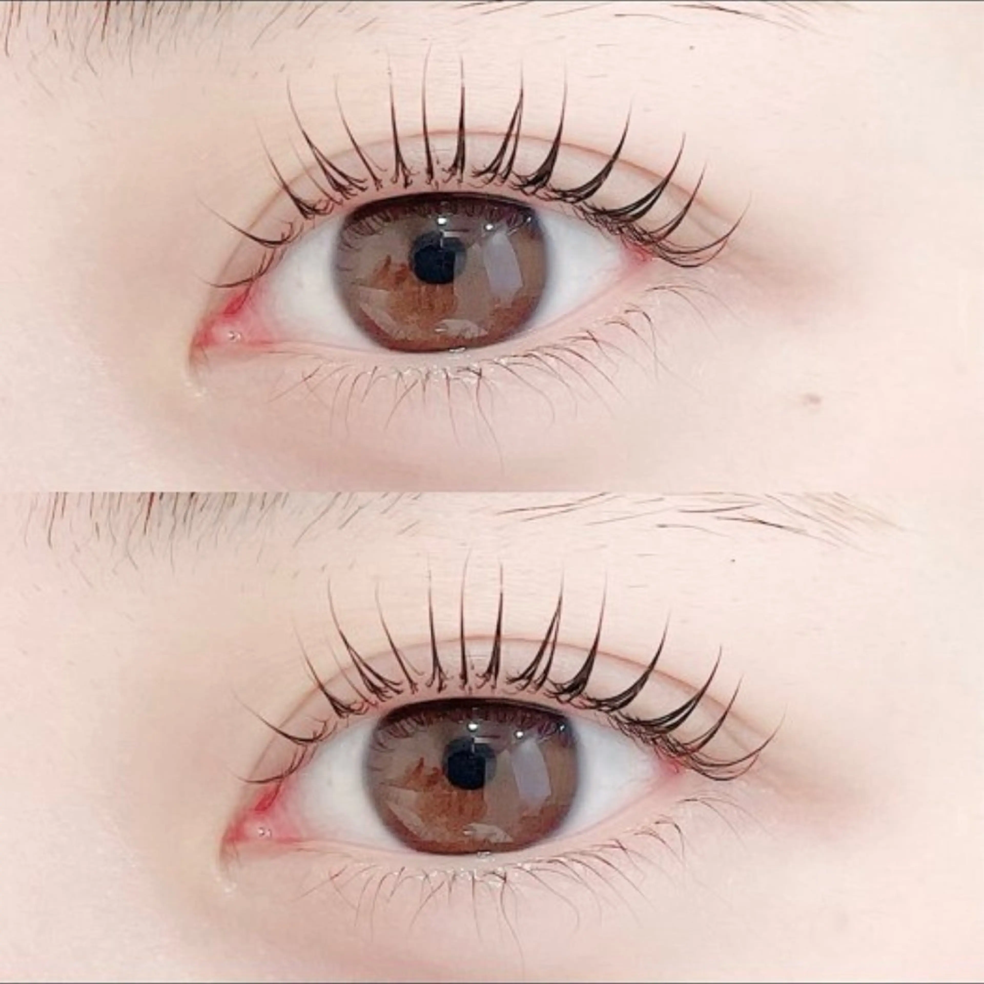 【ミニモ学割】👩🏻‍🎓選べるラッシュリフト🎀🤍の写真