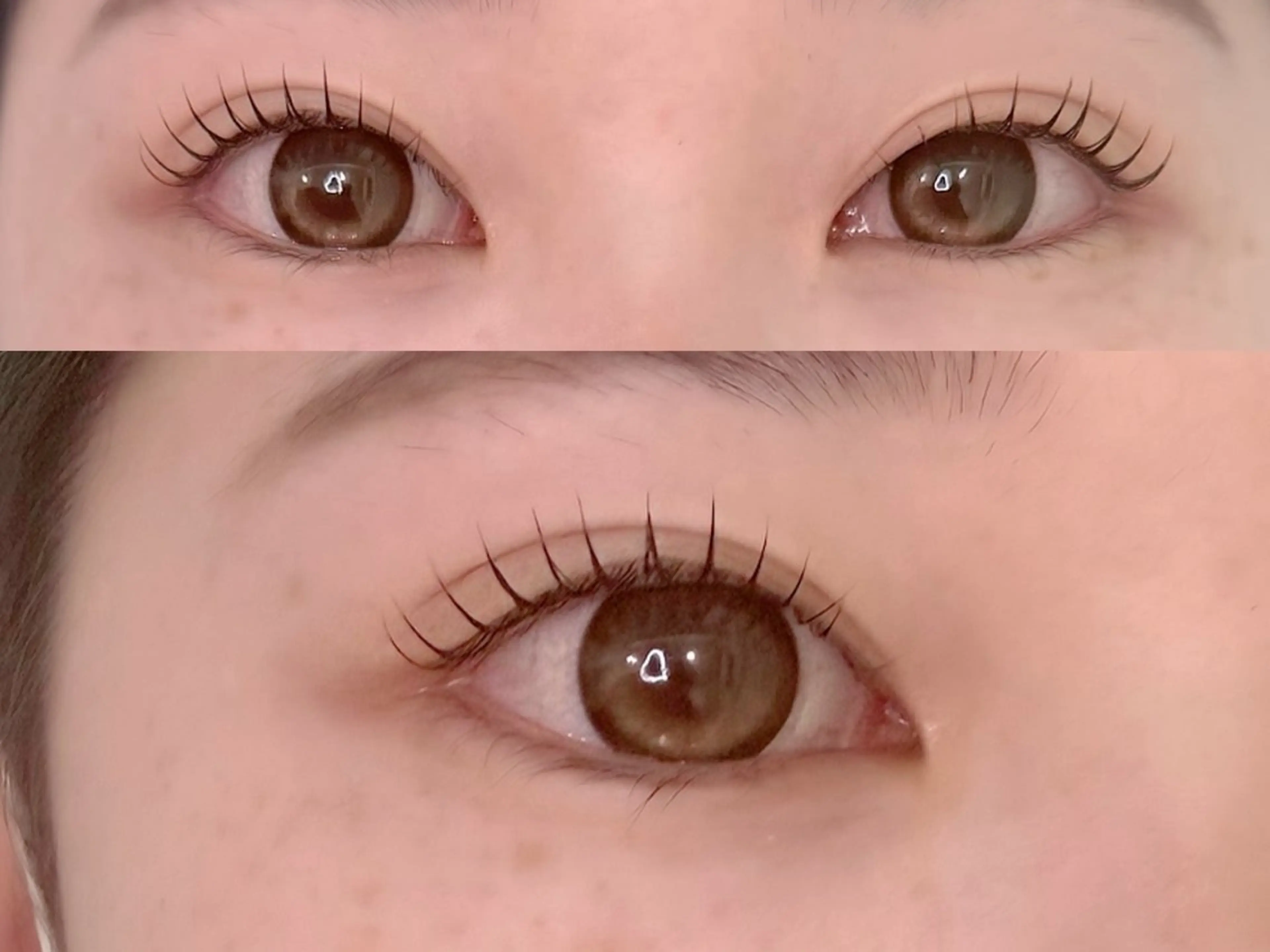 マツエク・マツパ マツパ SSINSTUDIO 𝑴𝒊𝒉𝒐🦋のその他イメージ