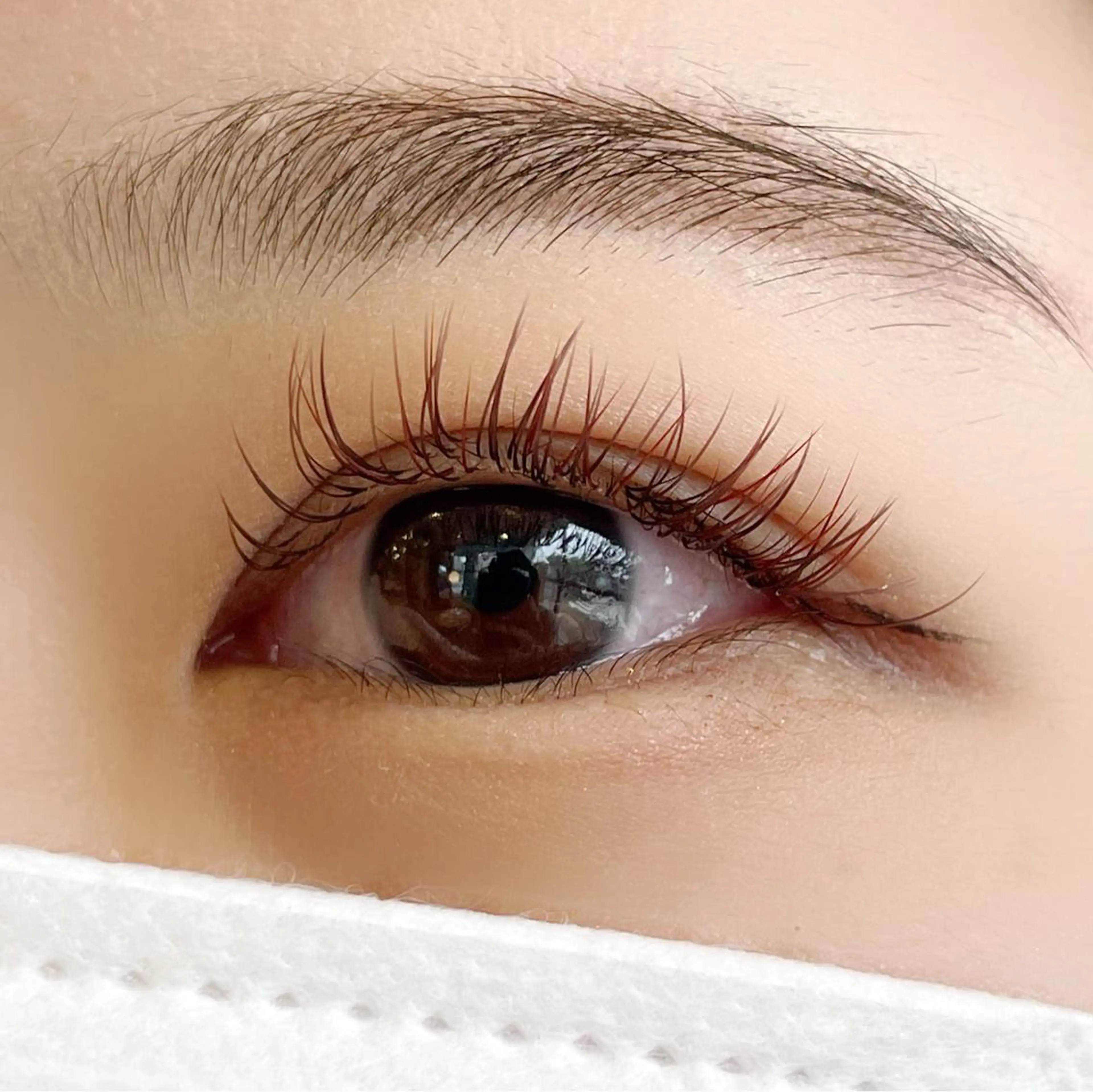 マツエク・マツパ Cカール カラーマツエク フラットラッシュ ナチュラル マツエク Mei🌼 Epillのマツエク・マツパデザイン