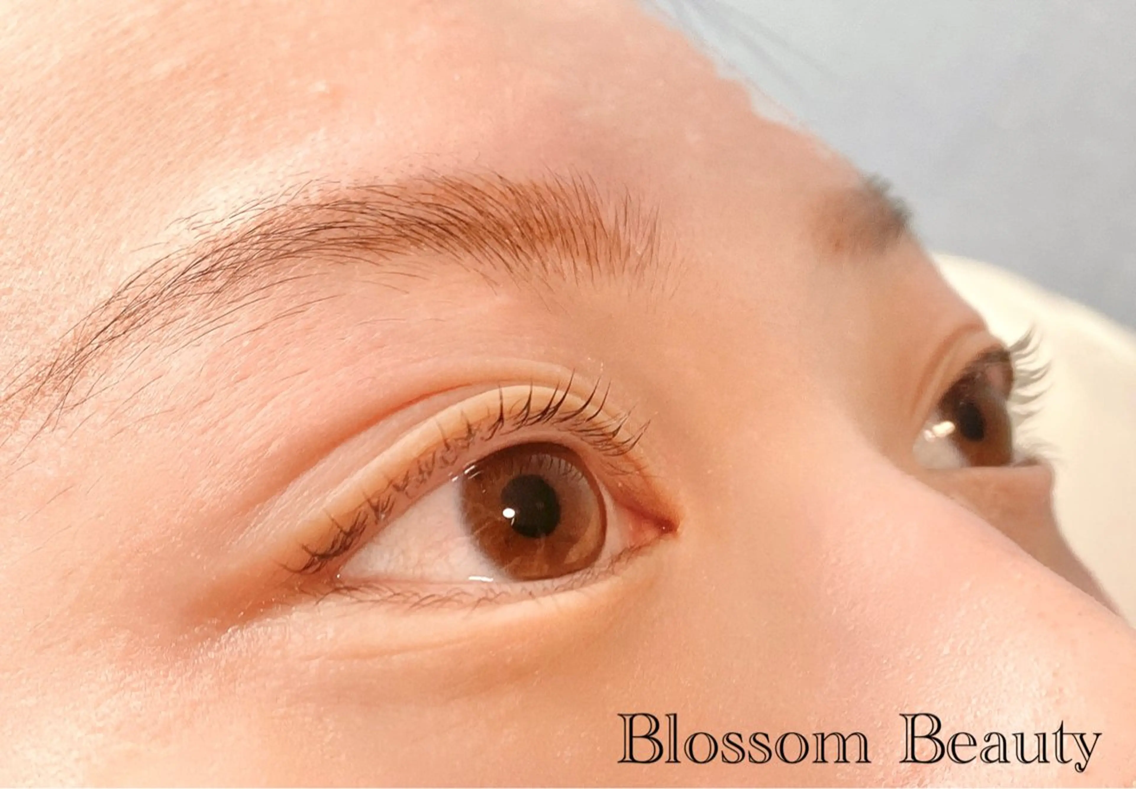 マツエク・マツパ Blossom Beauty aoiのマツエク・マツパデザイン