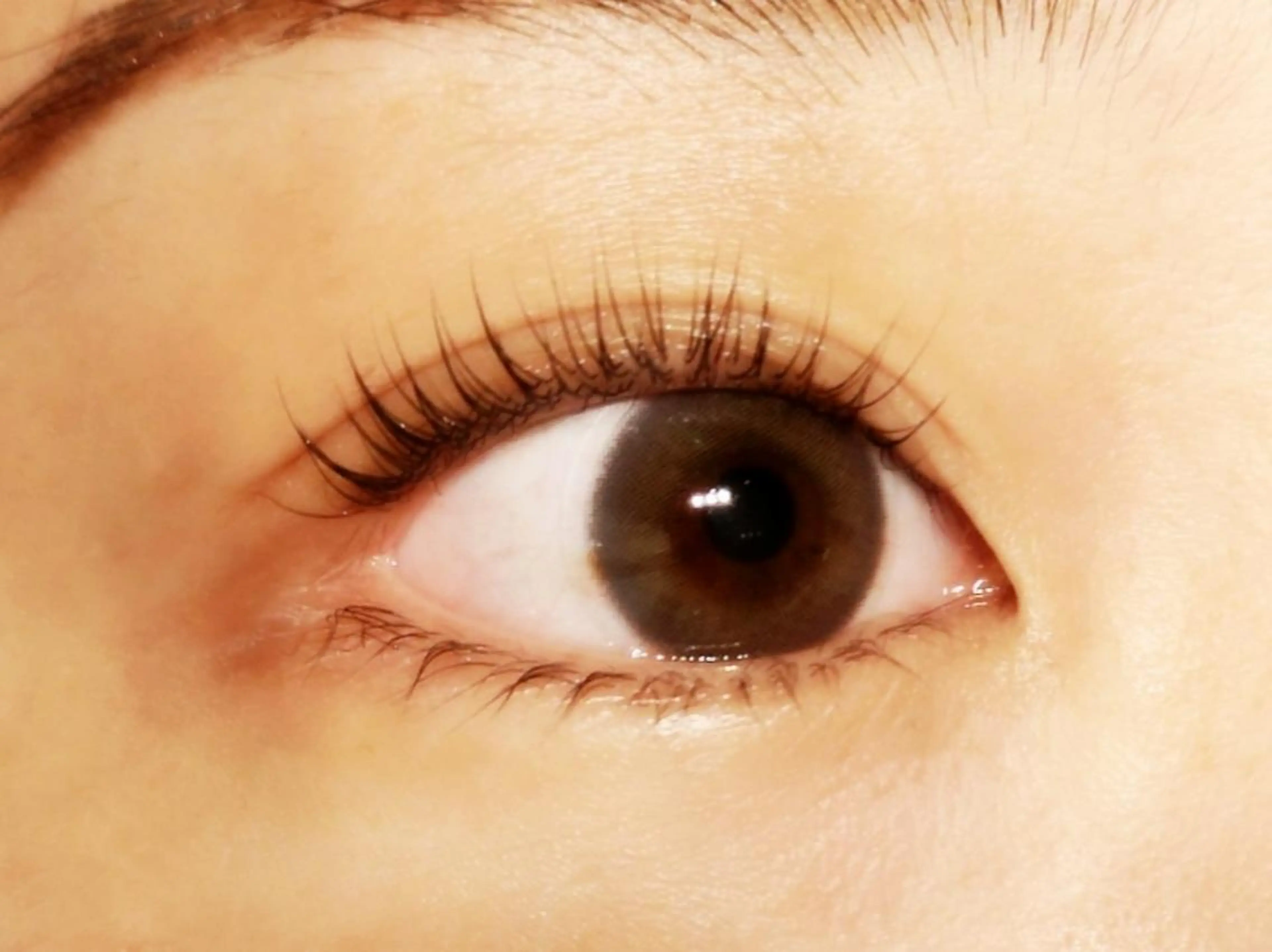 マツエク・マツパ パリジェンヌラッシュリフト マツパ 402 hakoishiのマツエク・マツパデザイン