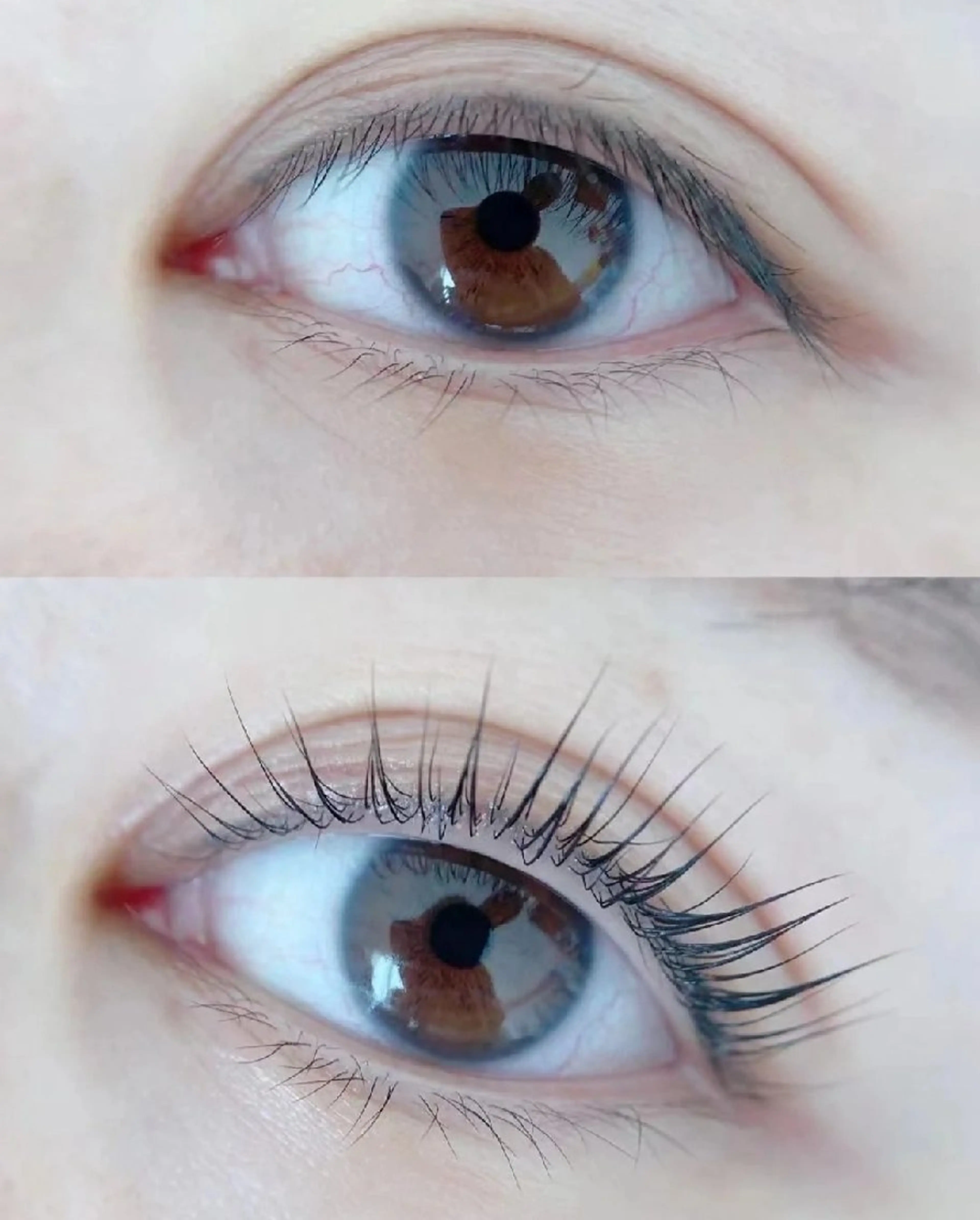 まつげパーマ上下セット/パリジェンヌ上下セットの写真