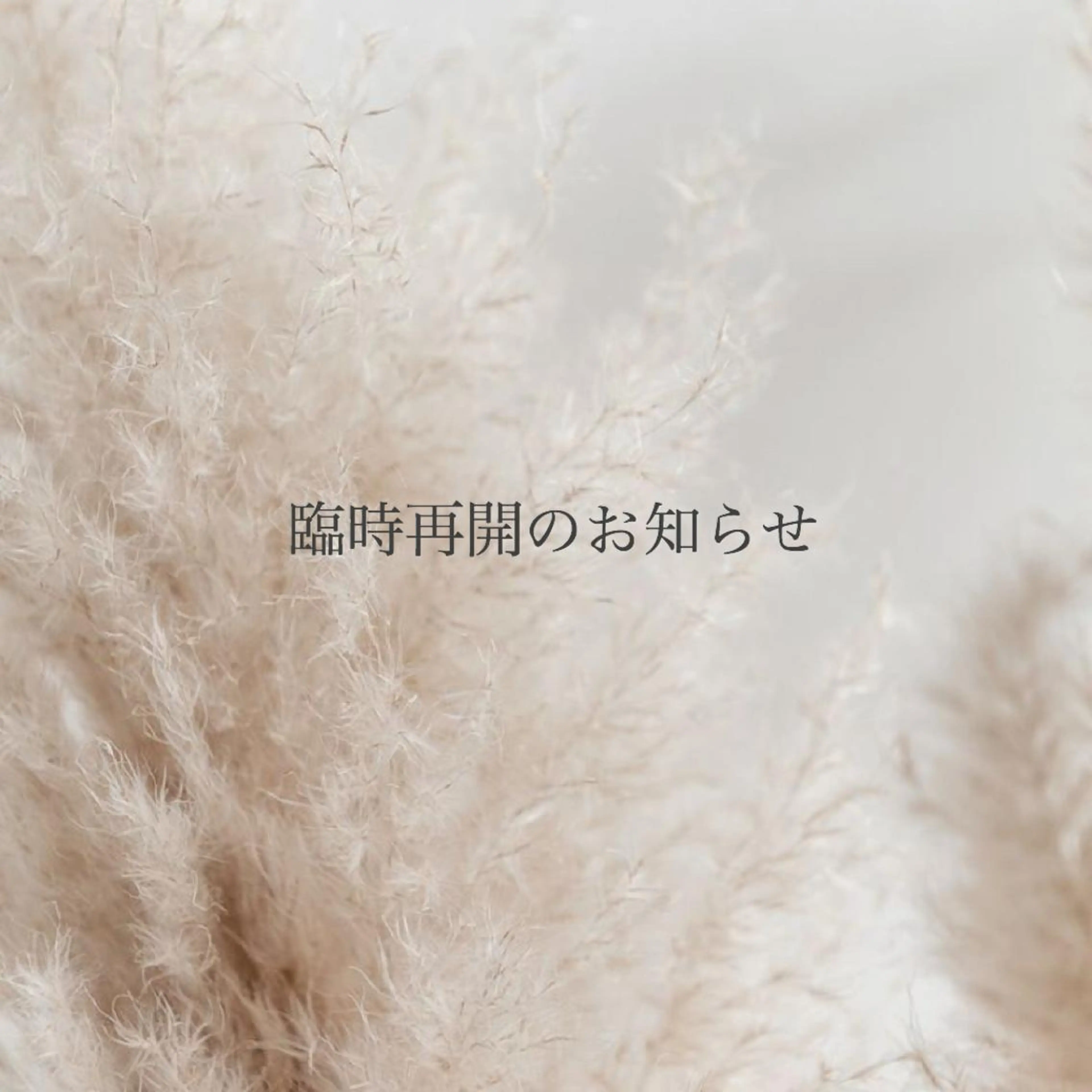 ネイル フットネイル 持ち込み 27salon yuinaのネイルデザイン