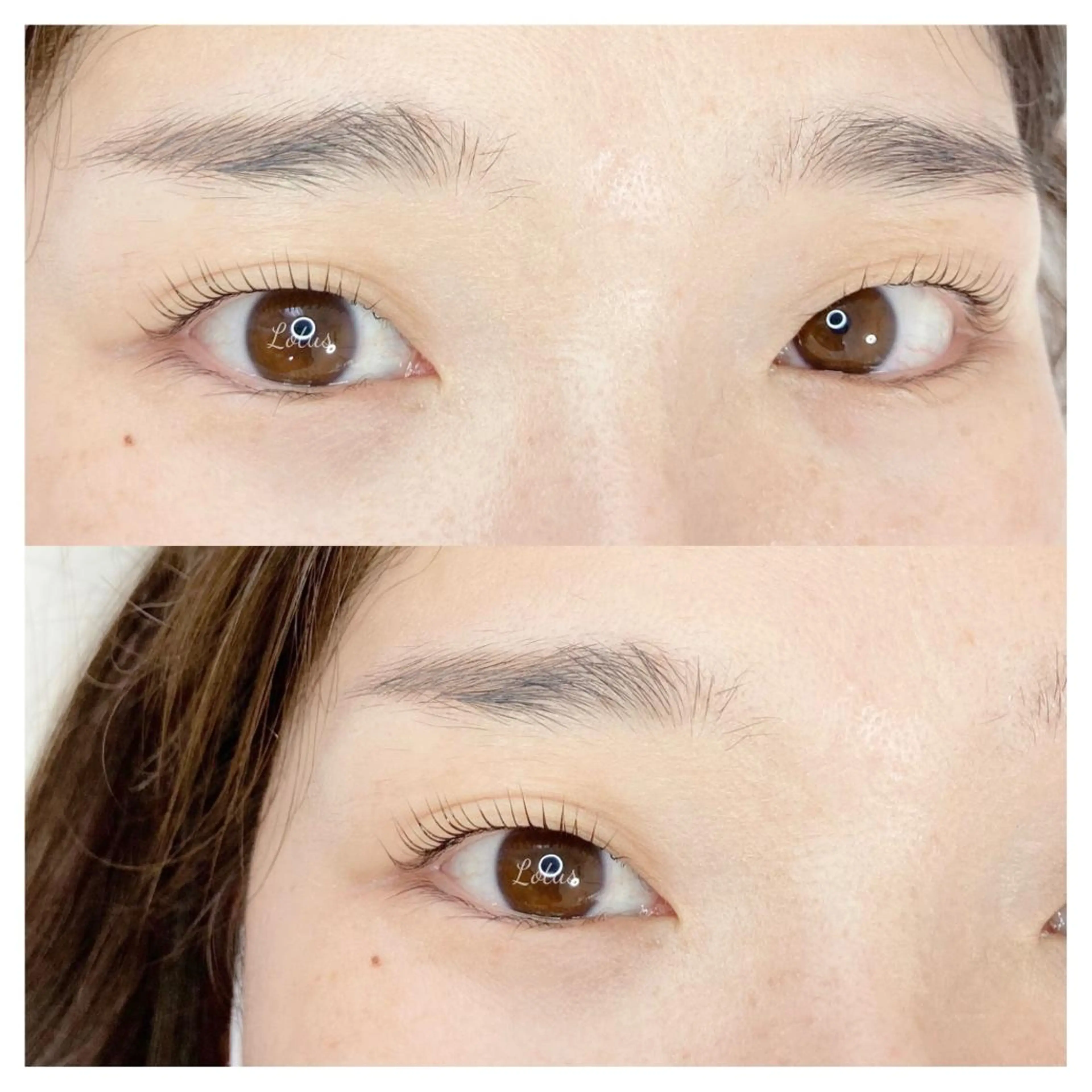 マツエク・マツパ マツパ Lotus ロータスのマツエク・マツパデザイン