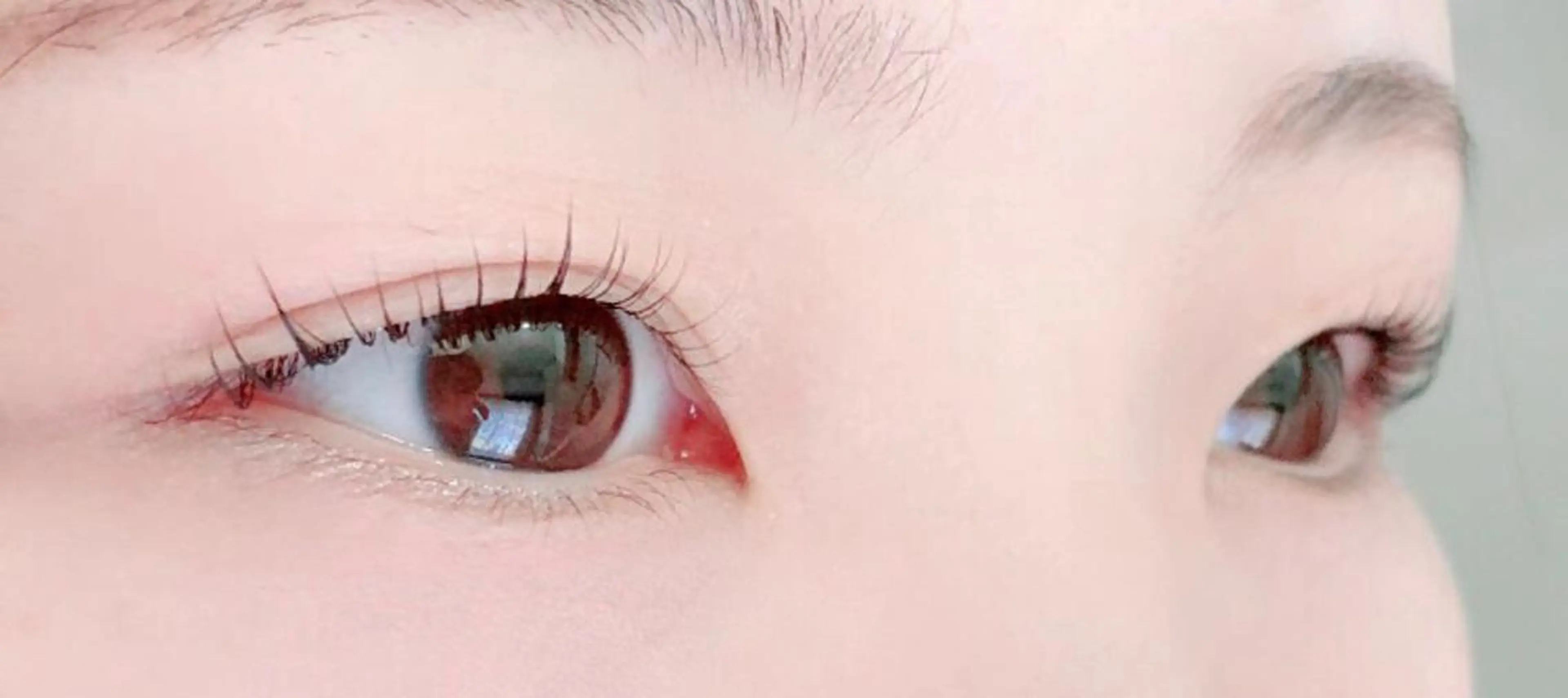 マツエク・マツパ マツパ Rabbit hagaのマツエク・マツパデザイン