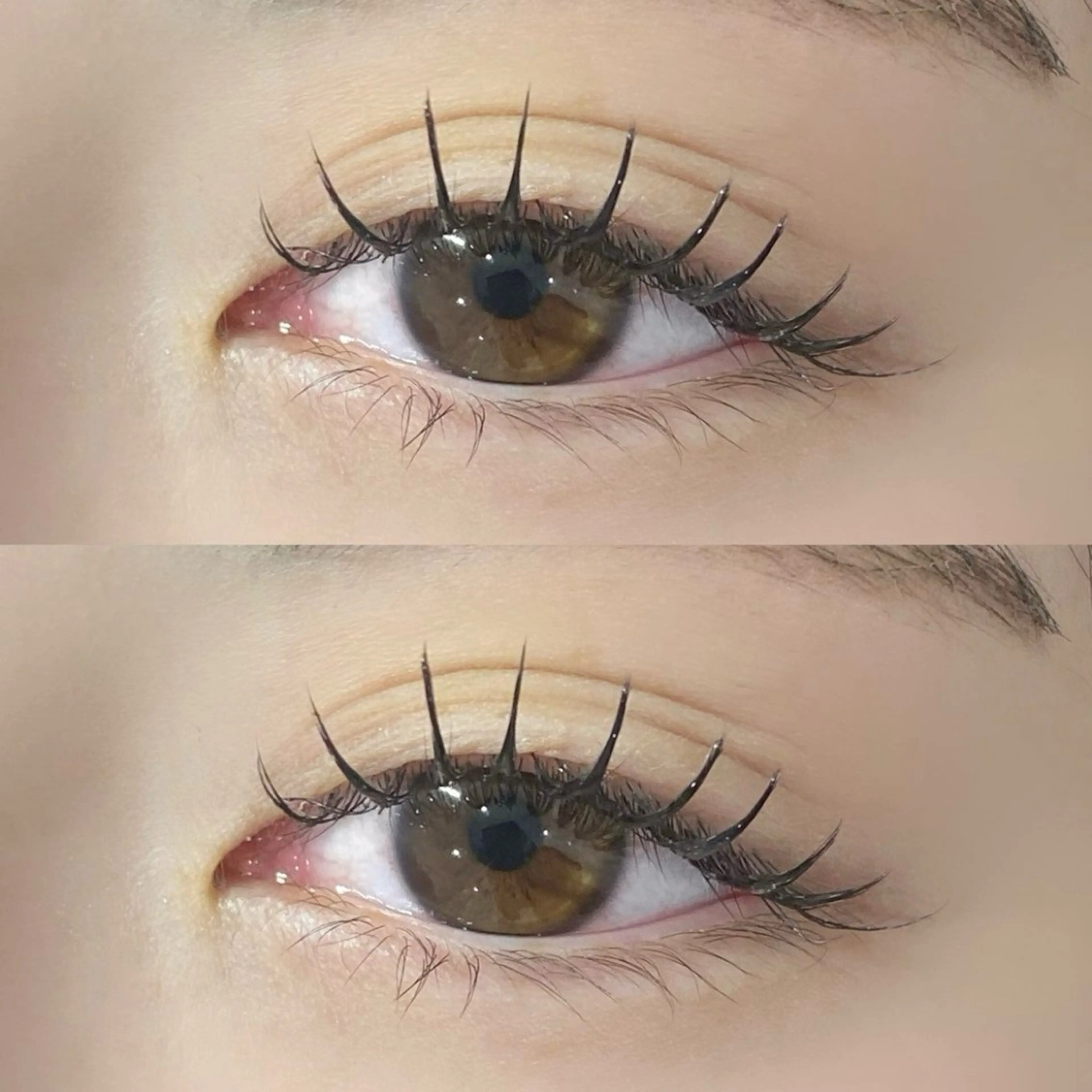 マツエク100本〜120本(オフ込み).𖥔 ݁ ˖⌗﹒の写真