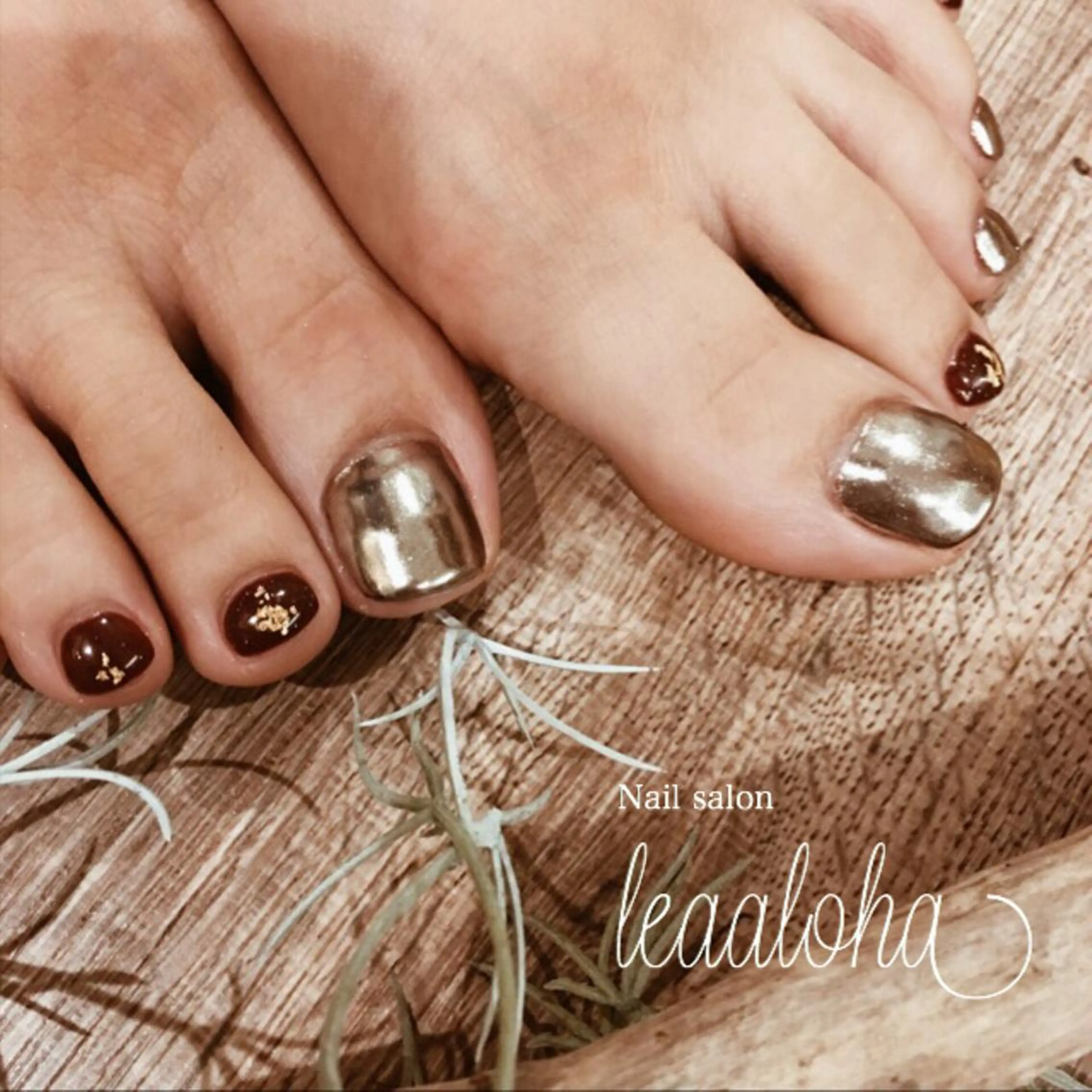 ネイル アートネイル ブラウン クリアネイル フットネイル ジェルネイル レアアロハ宇都宮 /ネイル.スクールのネイルデザイン