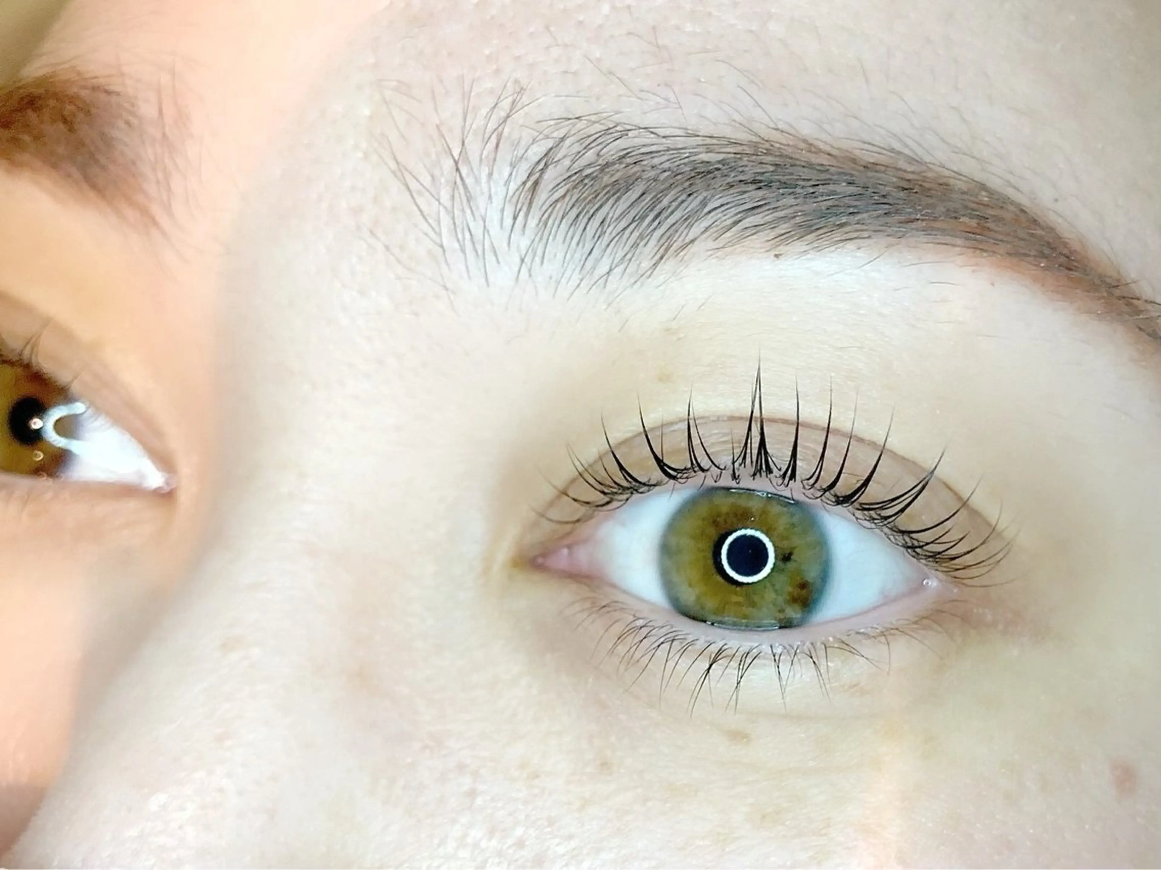 ãããšã¯ã»ããã Isogai ðžð¯ï»¿ã®ãããšã¯ã»ããããã¶ã€ã³