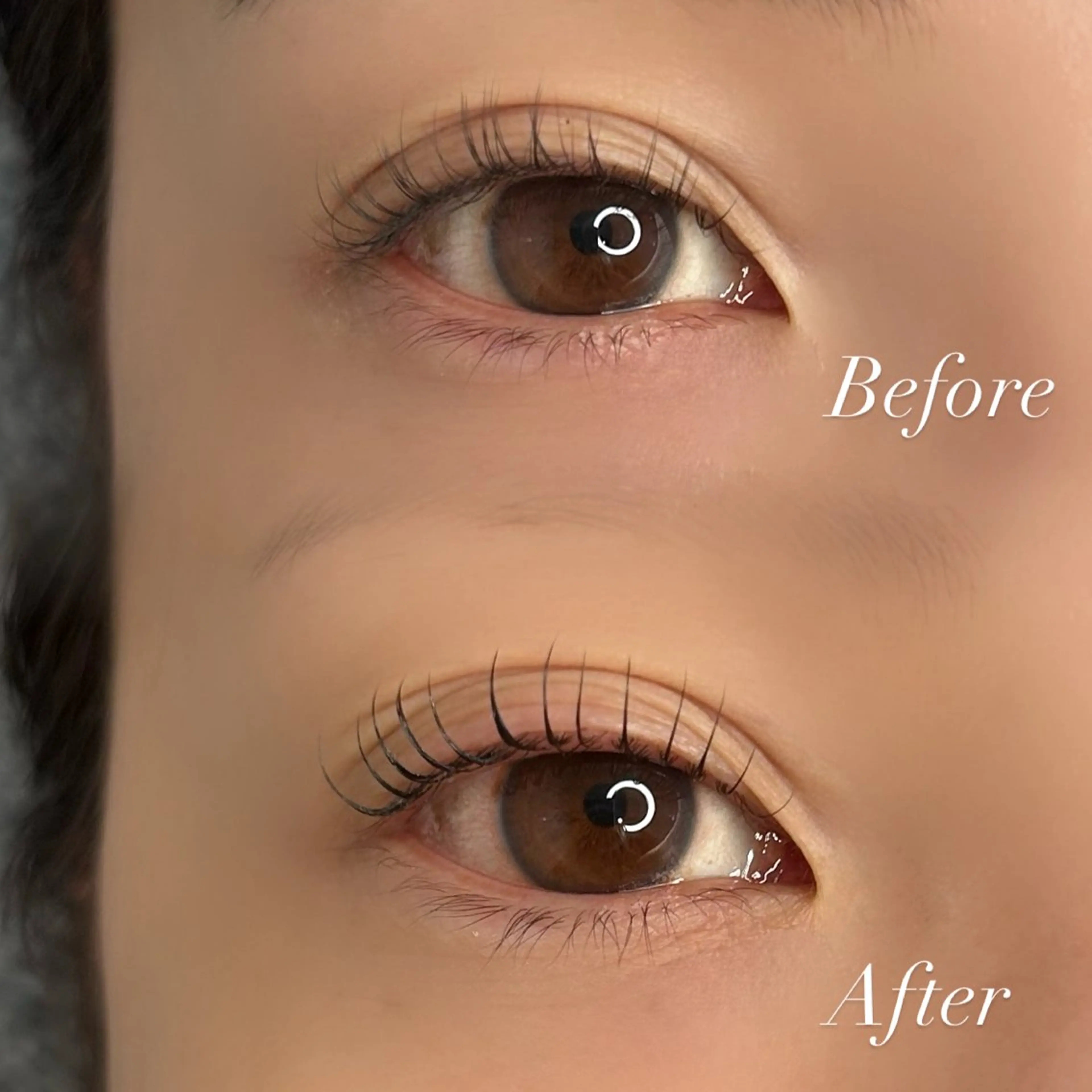 マツエク・マツパ Ann  Moss 日本橋のマツエク・マツパデザイン