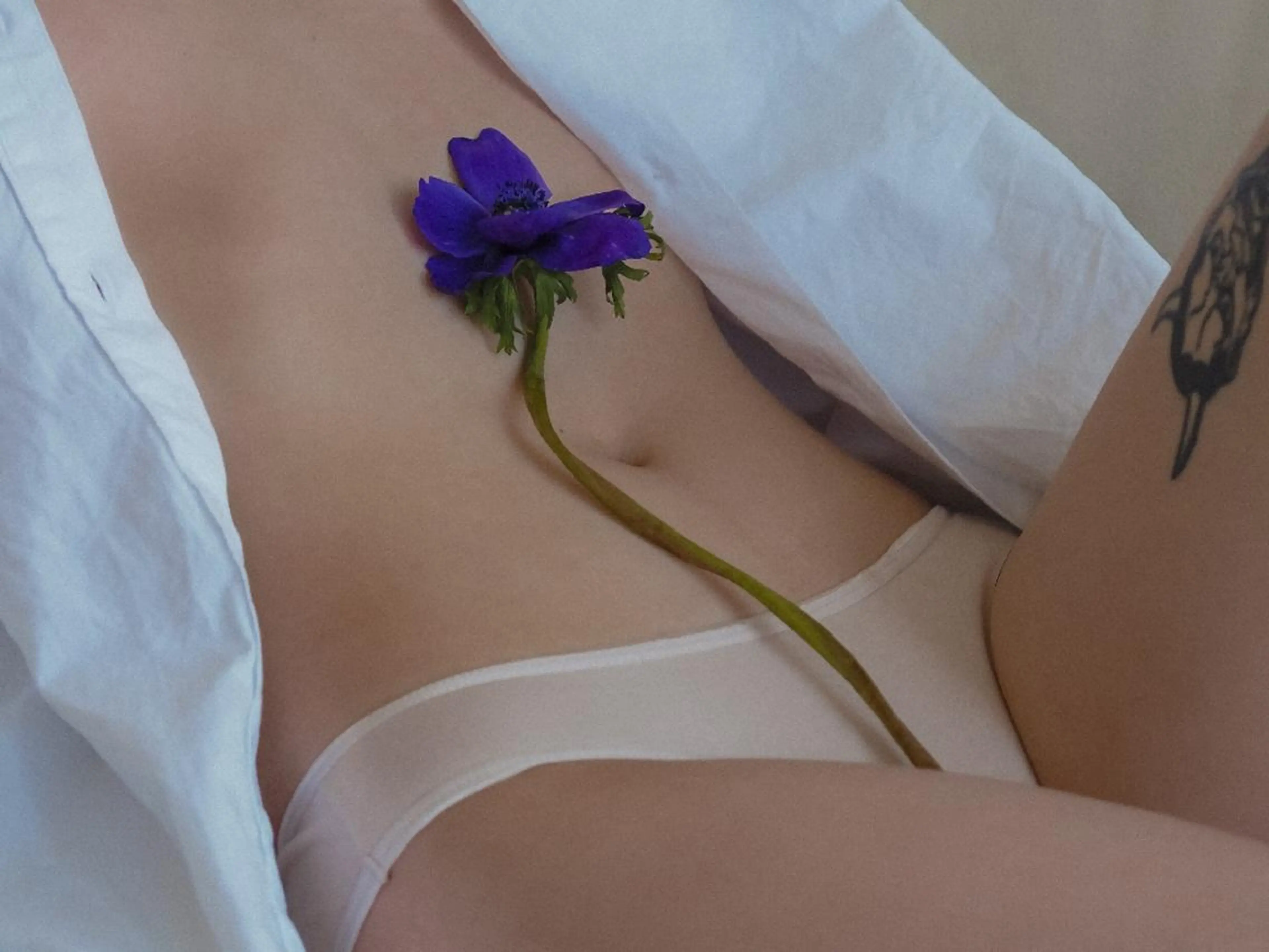 【女性】WAX / VIOワックス脱毛＋両脇ワックス脱毛の写真