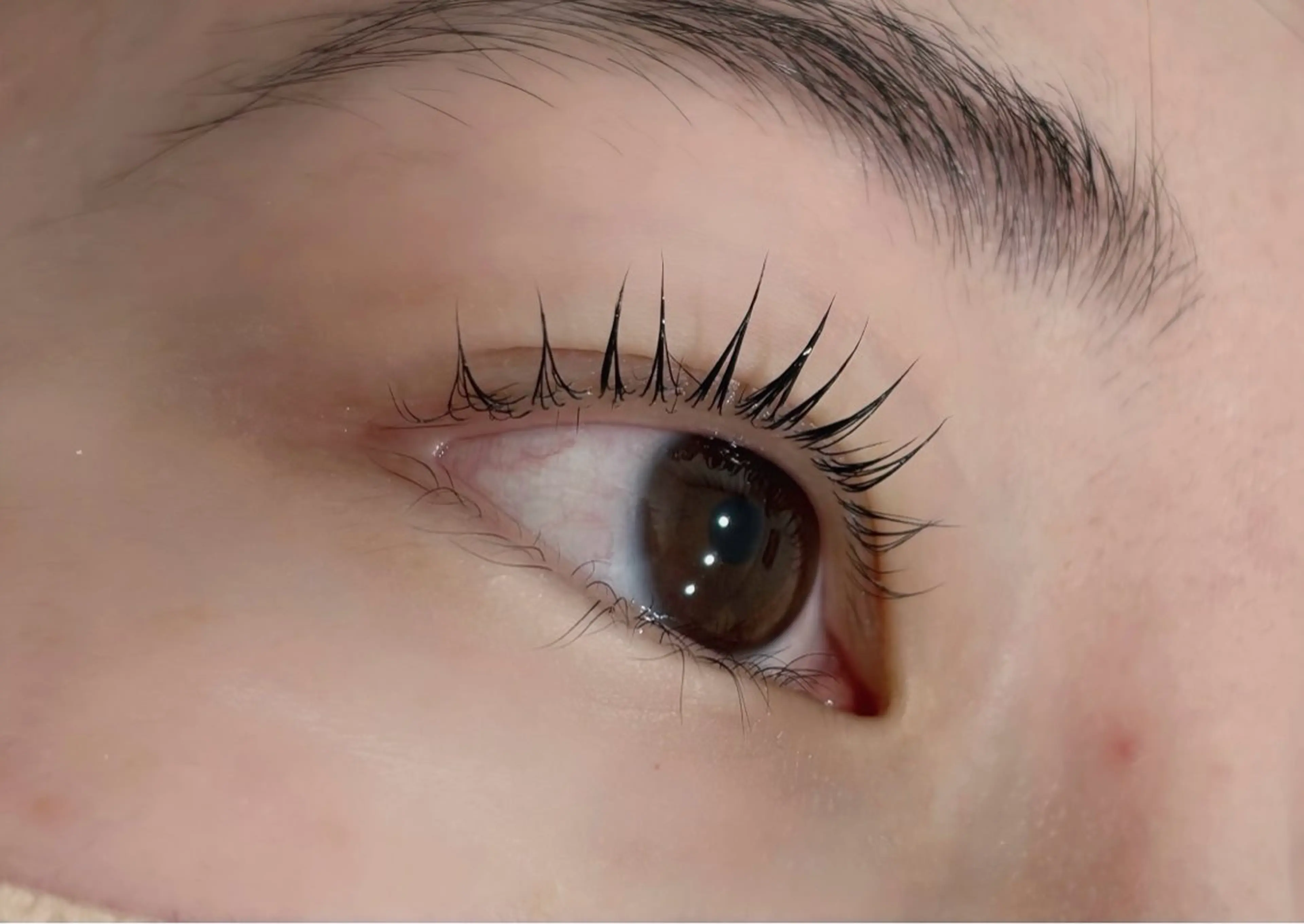 マツエク・マツパ パリジェンヌラッシュリフト パリジェンヌ/眉毛 ミラ大宮Yunaのマツエク・マツパデザイン