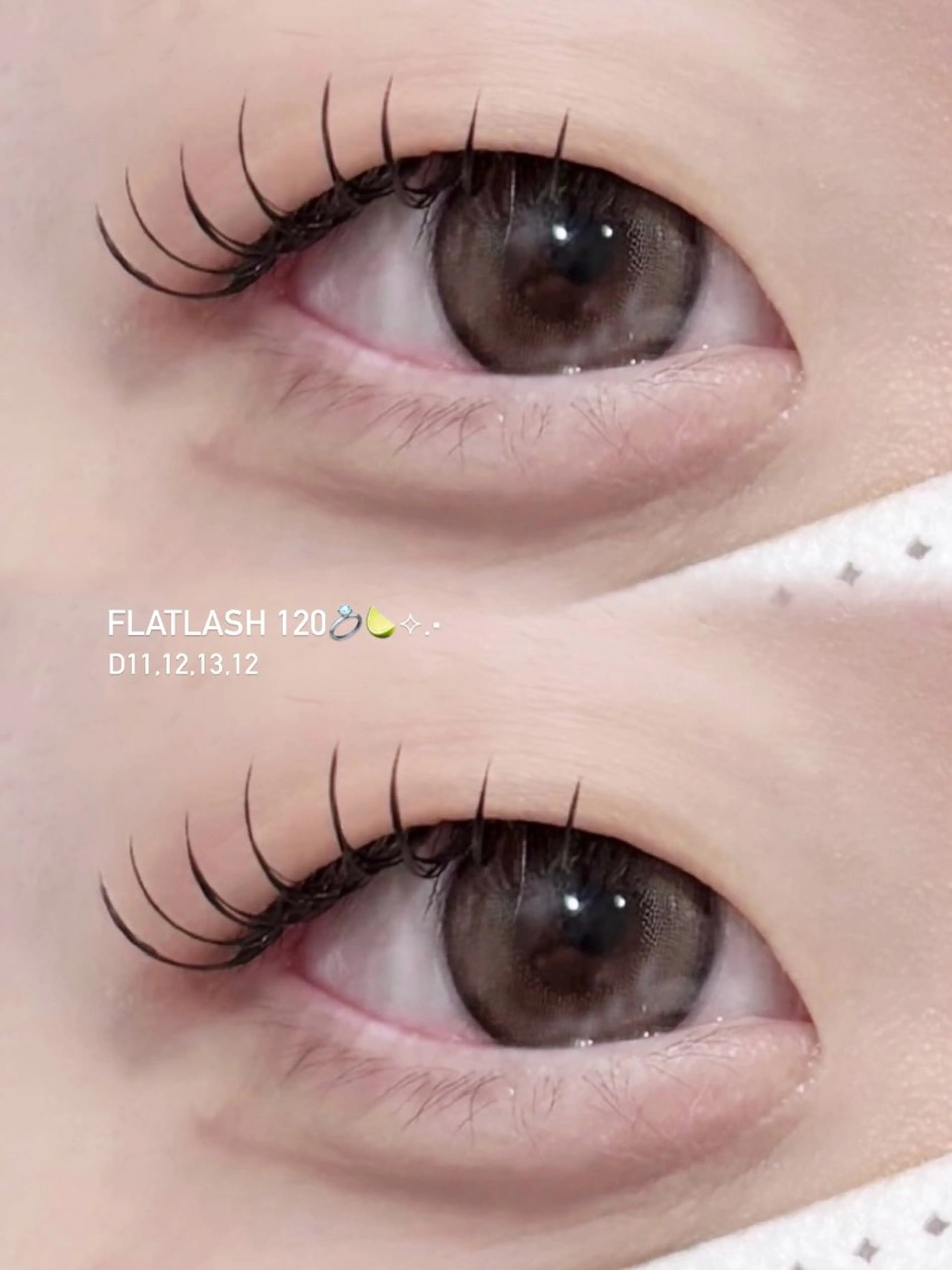 [新規] オフ込み フラットラッシュ120本の写真