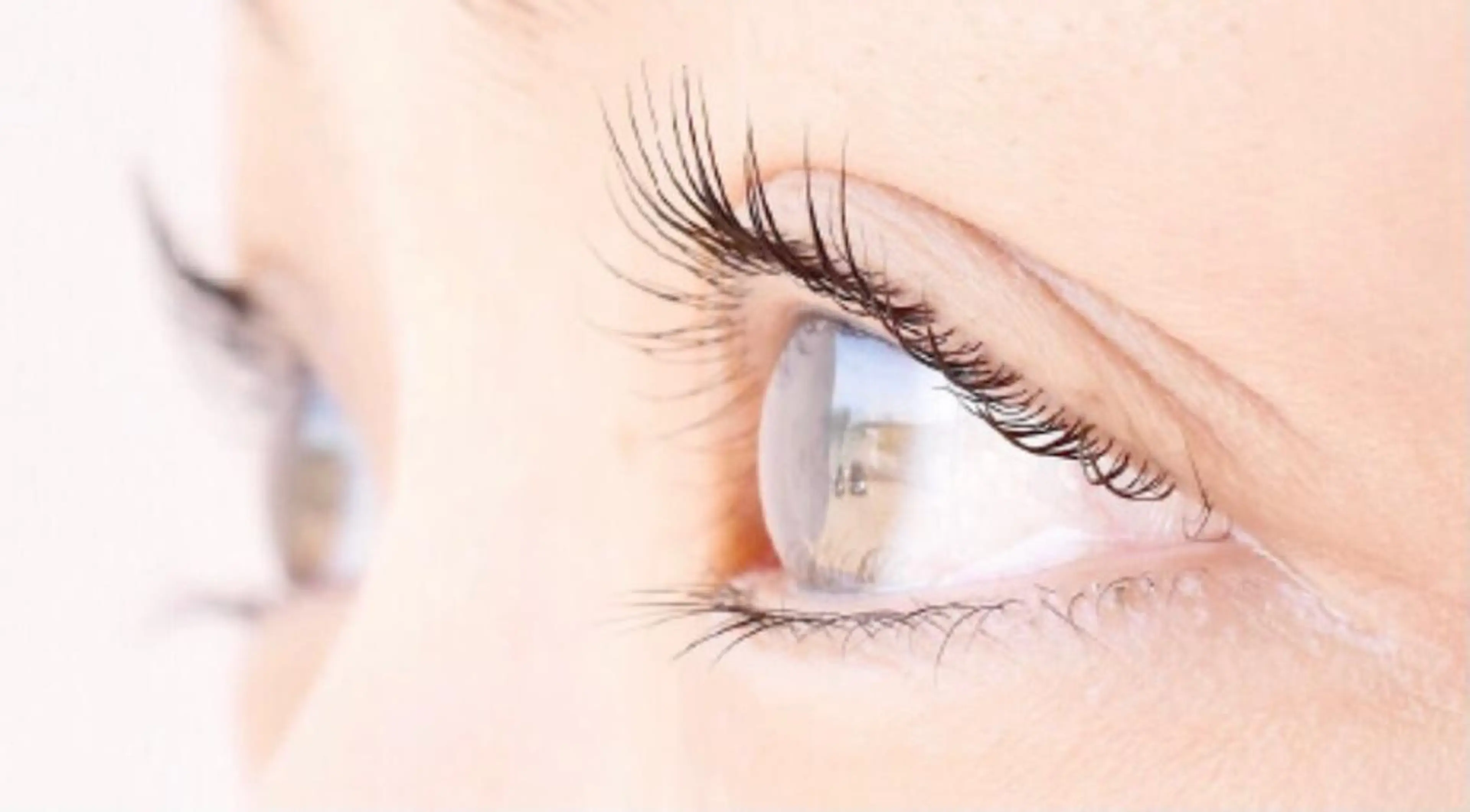 平日17時まで限定クーポン⛄️パリジェンヌラッシュリフト【高濃度トリートメント＆コーティング付き】の写真