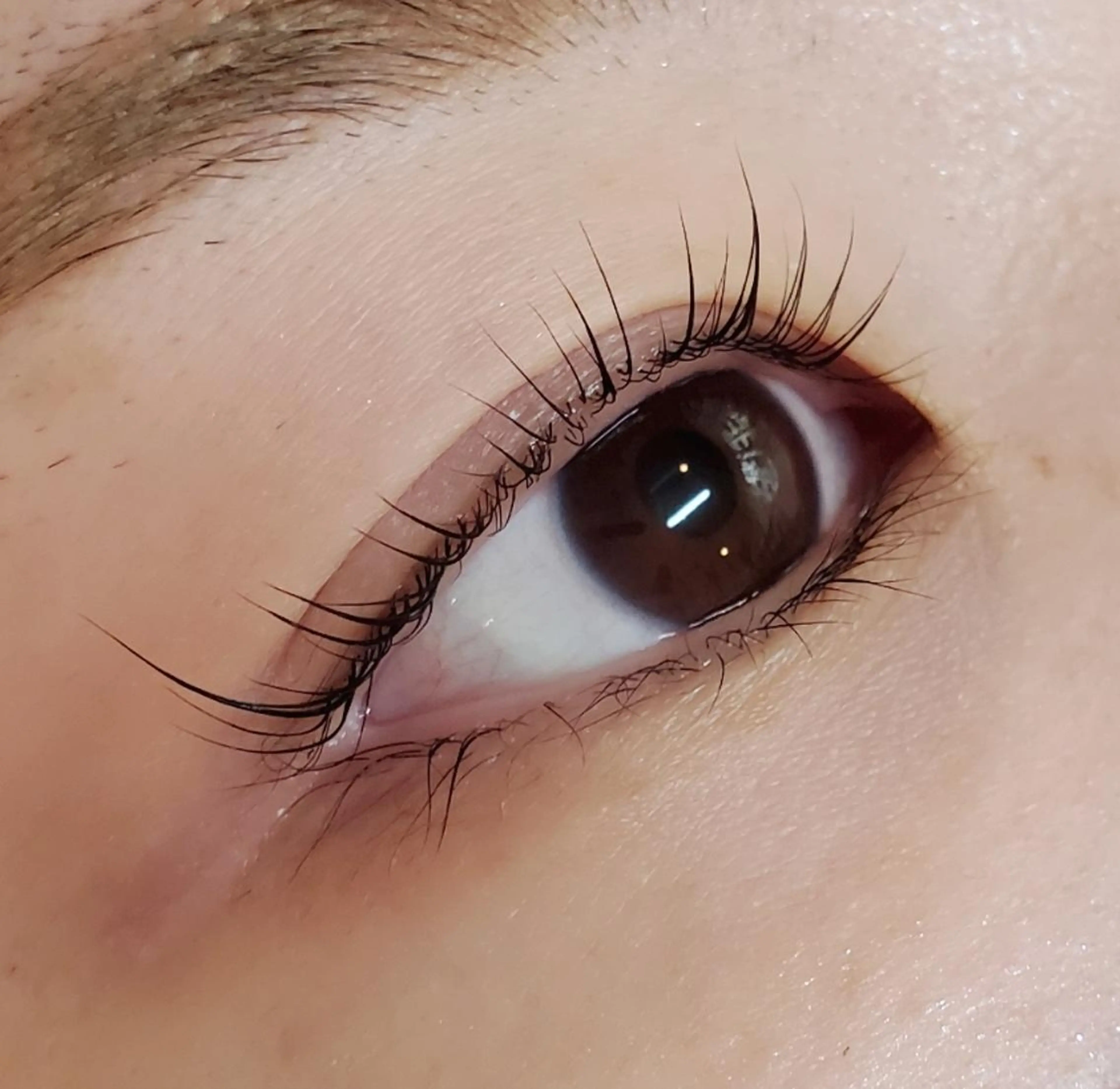 マツエク・マツパ ant_u🌷 arisaのマツエク・マツパデザイン