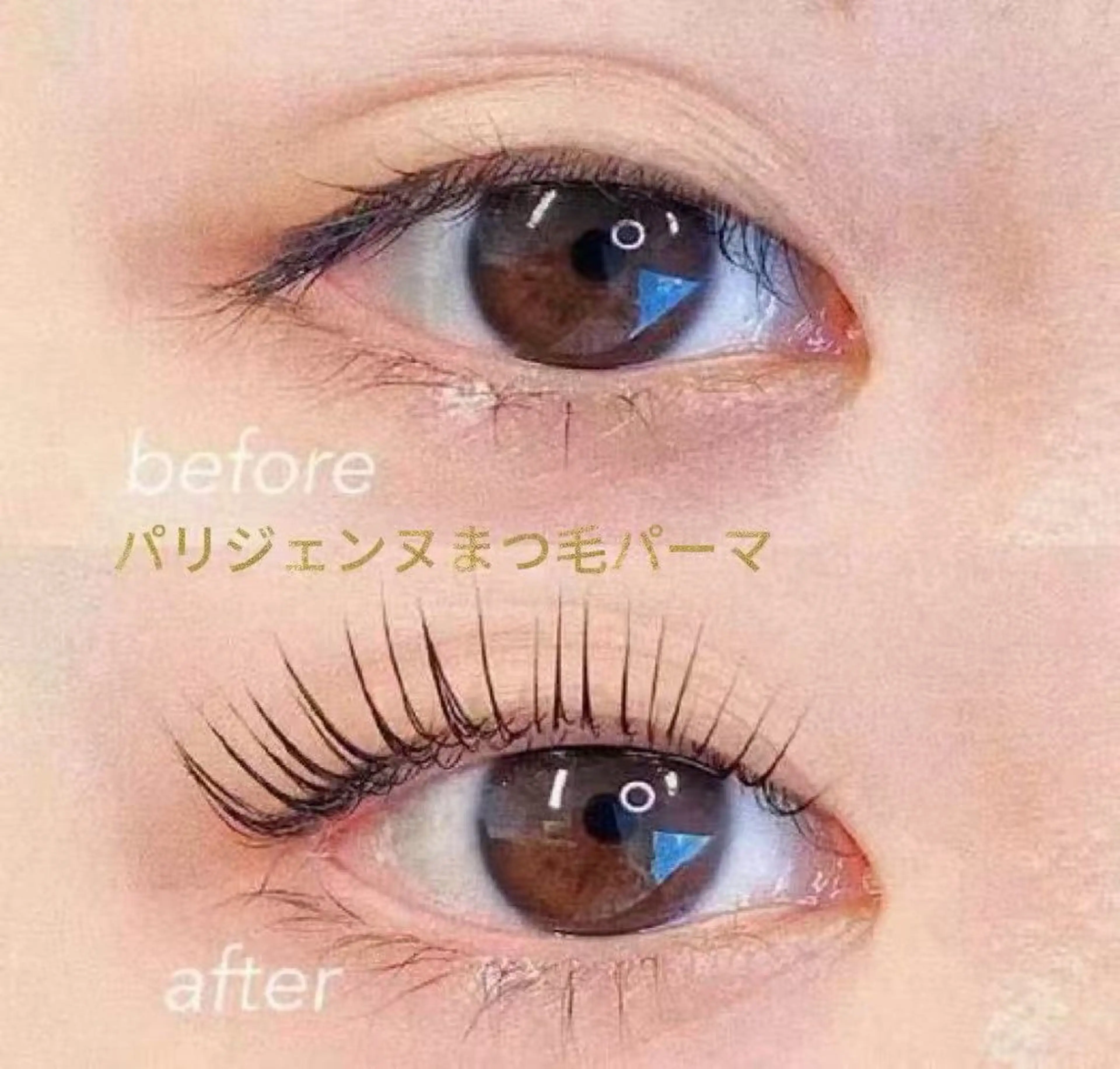 可愛いパリジェンヌ★上まつげパーマ＋黒ティント¥3500の写真
