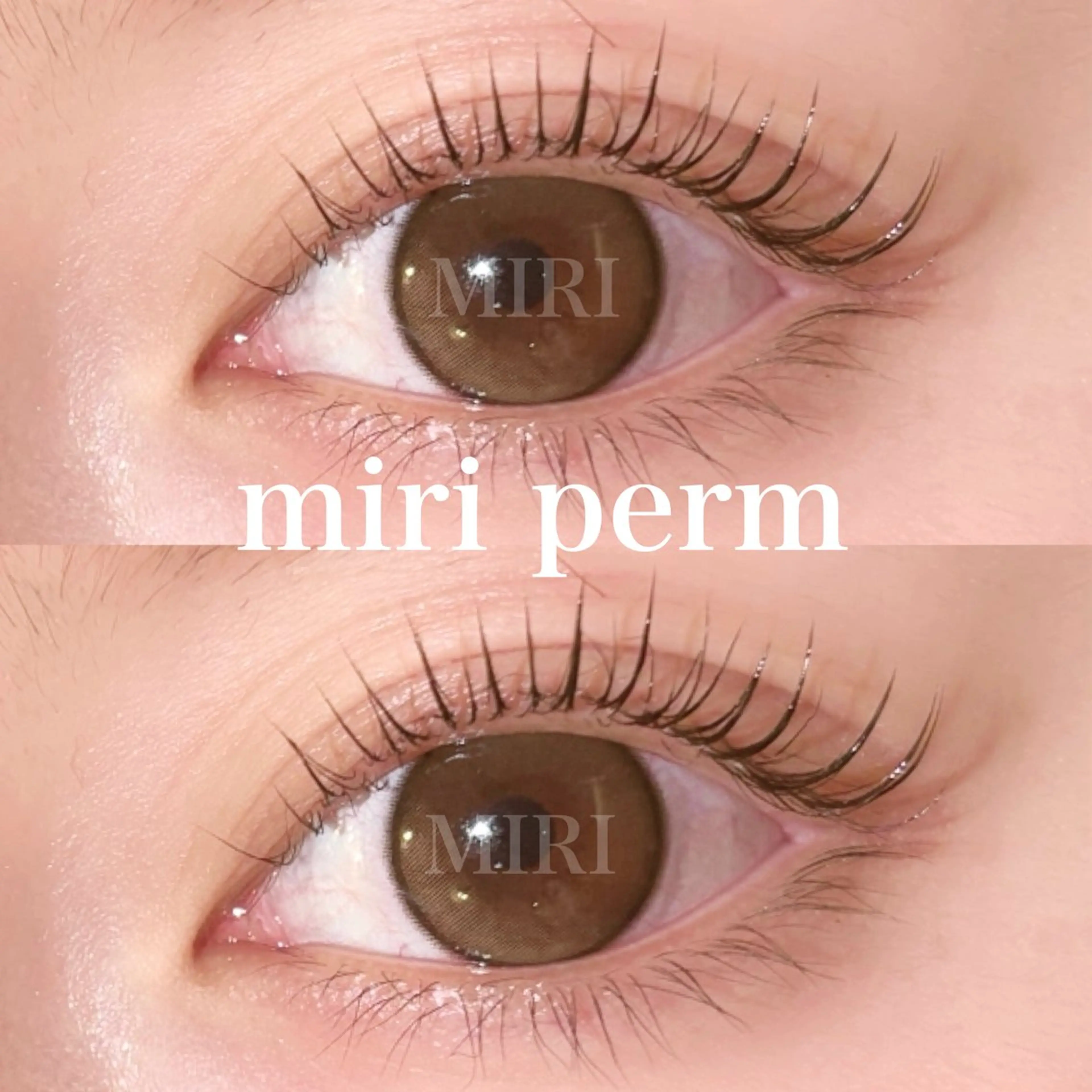 🌻ミニモ限定特別価格🌻上まつ毛パーマの写真