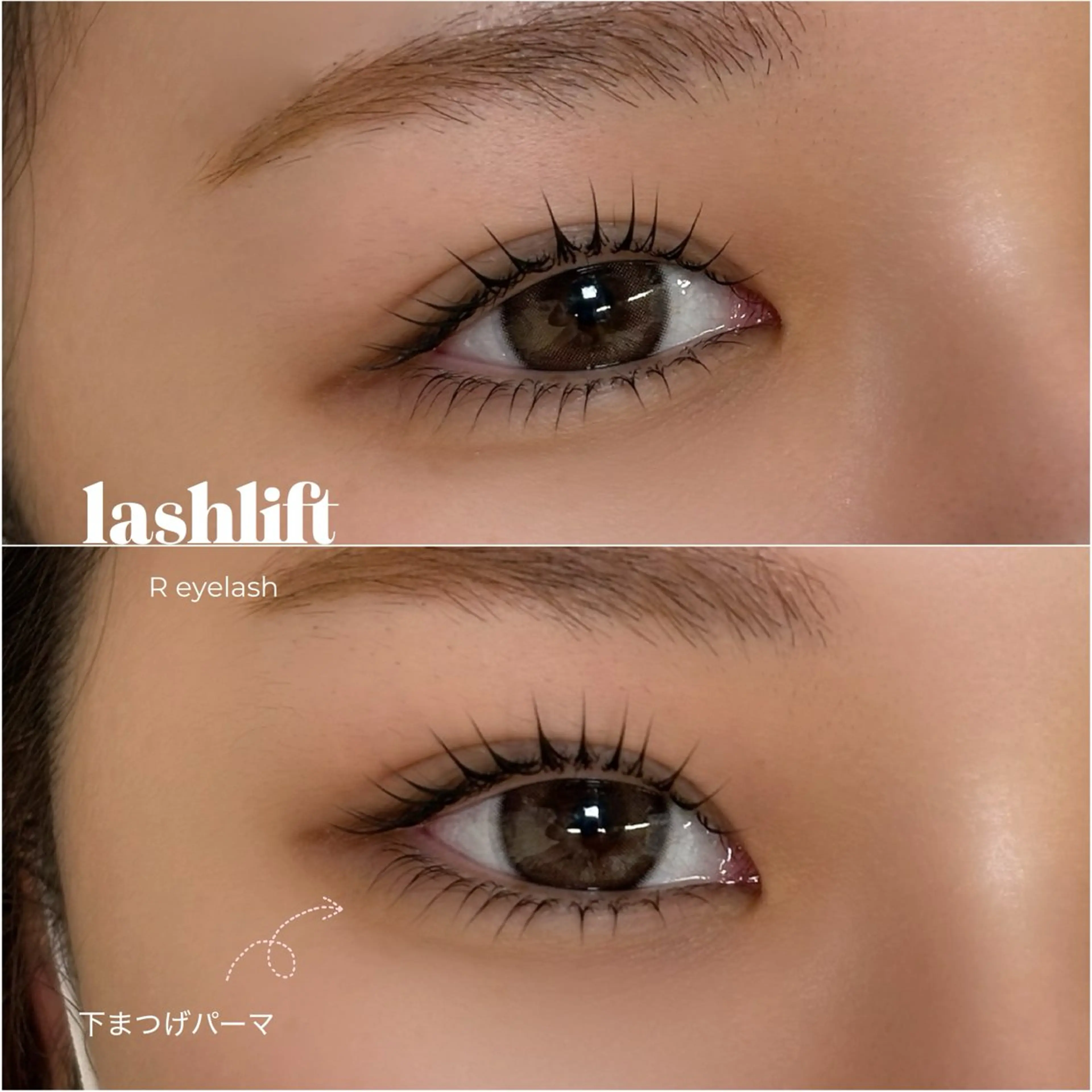 マツエク・マツパ マツパ R eyelash yokoのマツエク・マツパデザイン