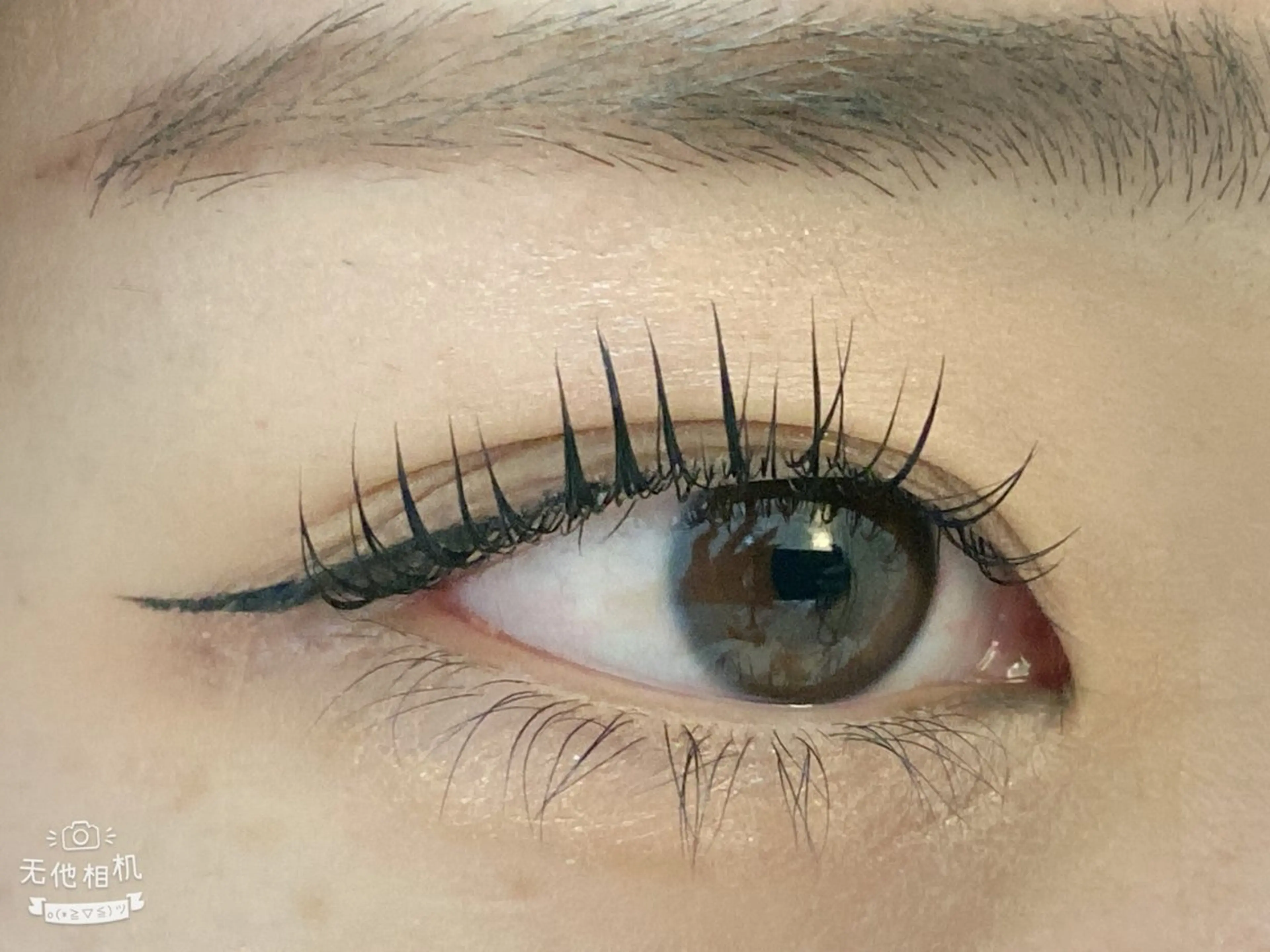 フラットラッシュ140本(LED付き7000)の写真