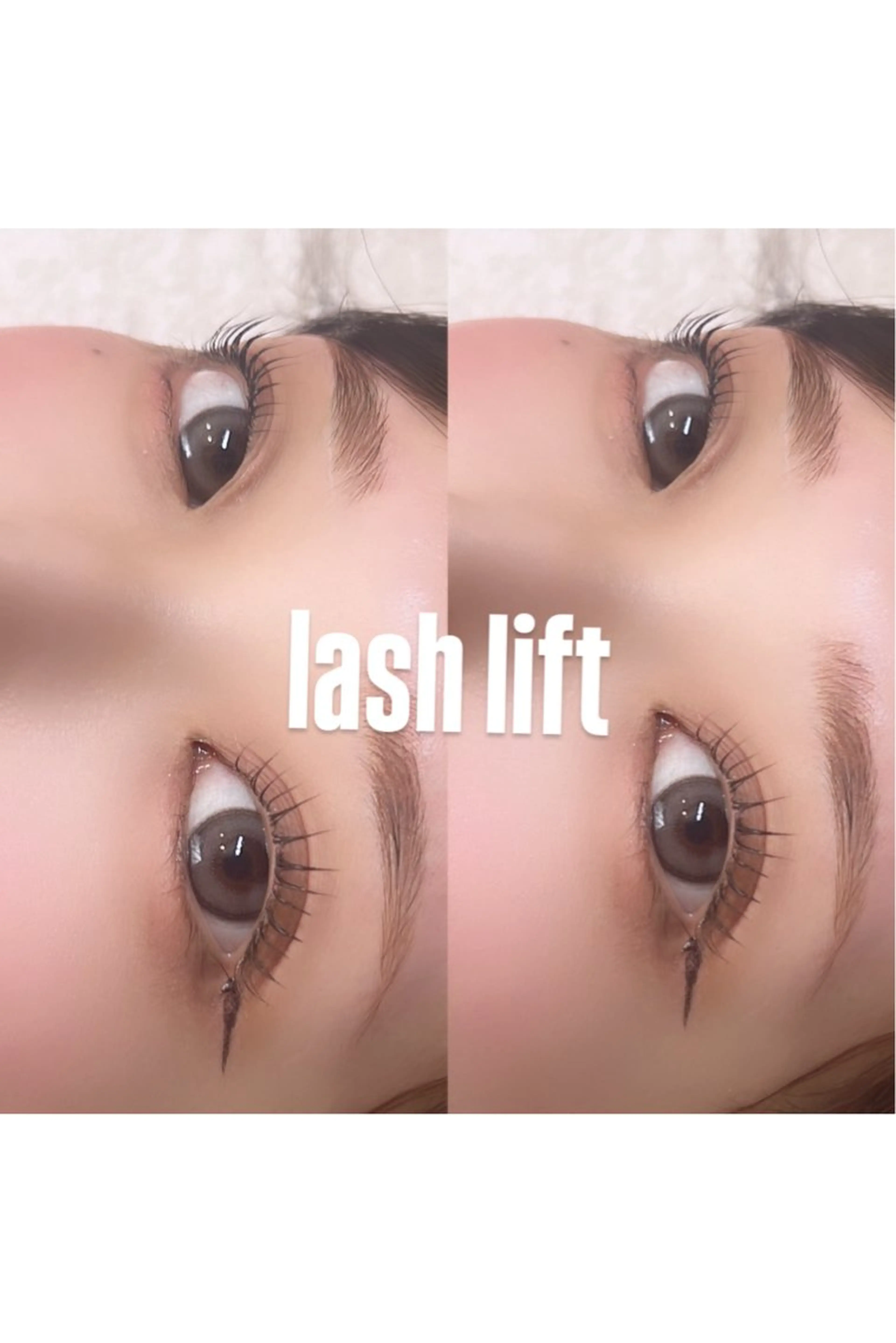 新規限定/🪽パリジェンヌラッシュリフト🪽（まつ毛パーマ）の写真