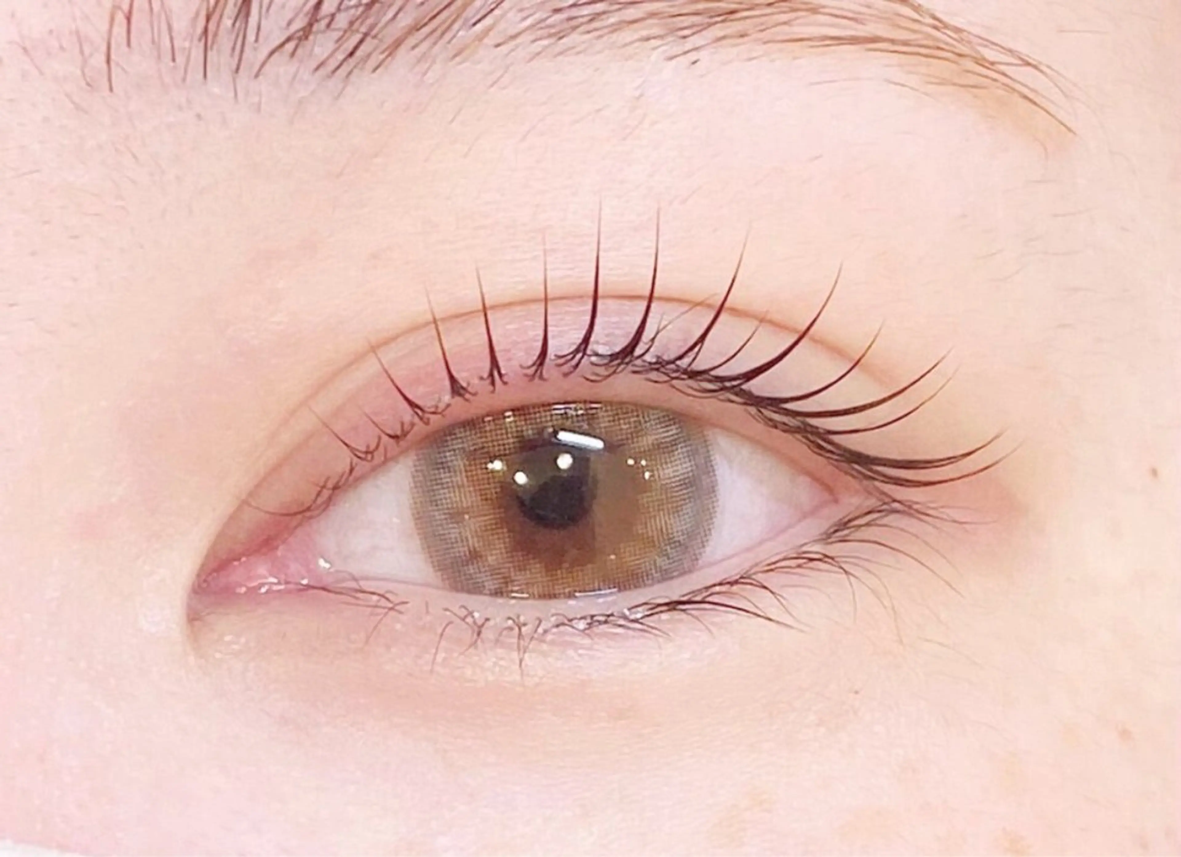 パリジェンヌorまつ毛パーマ🌈ケラチントリートメント、コーティング付き◎の写真