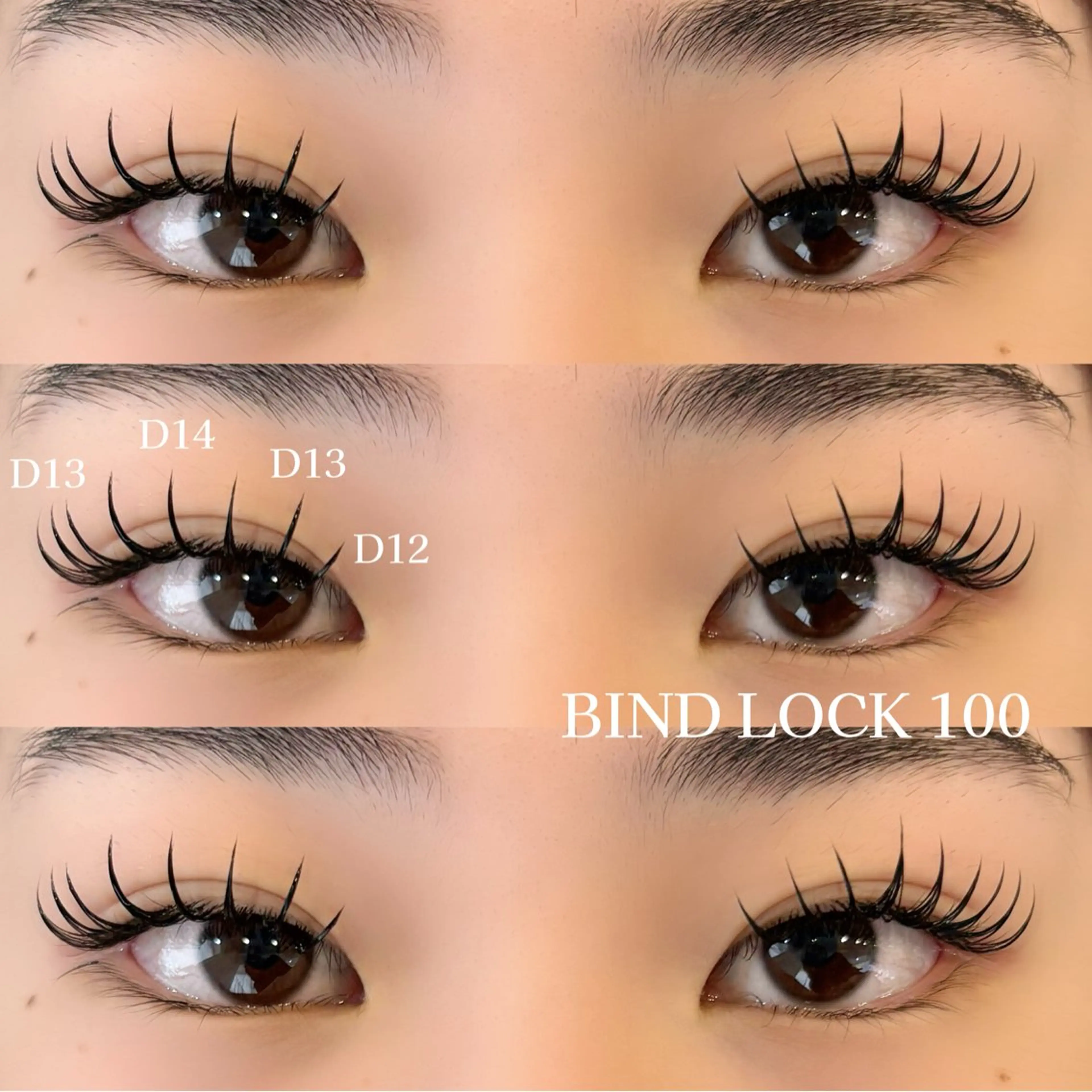 【🦋ミニモ限定価格🦋】高維持バインドロック120束[シングル160本程度]の写真