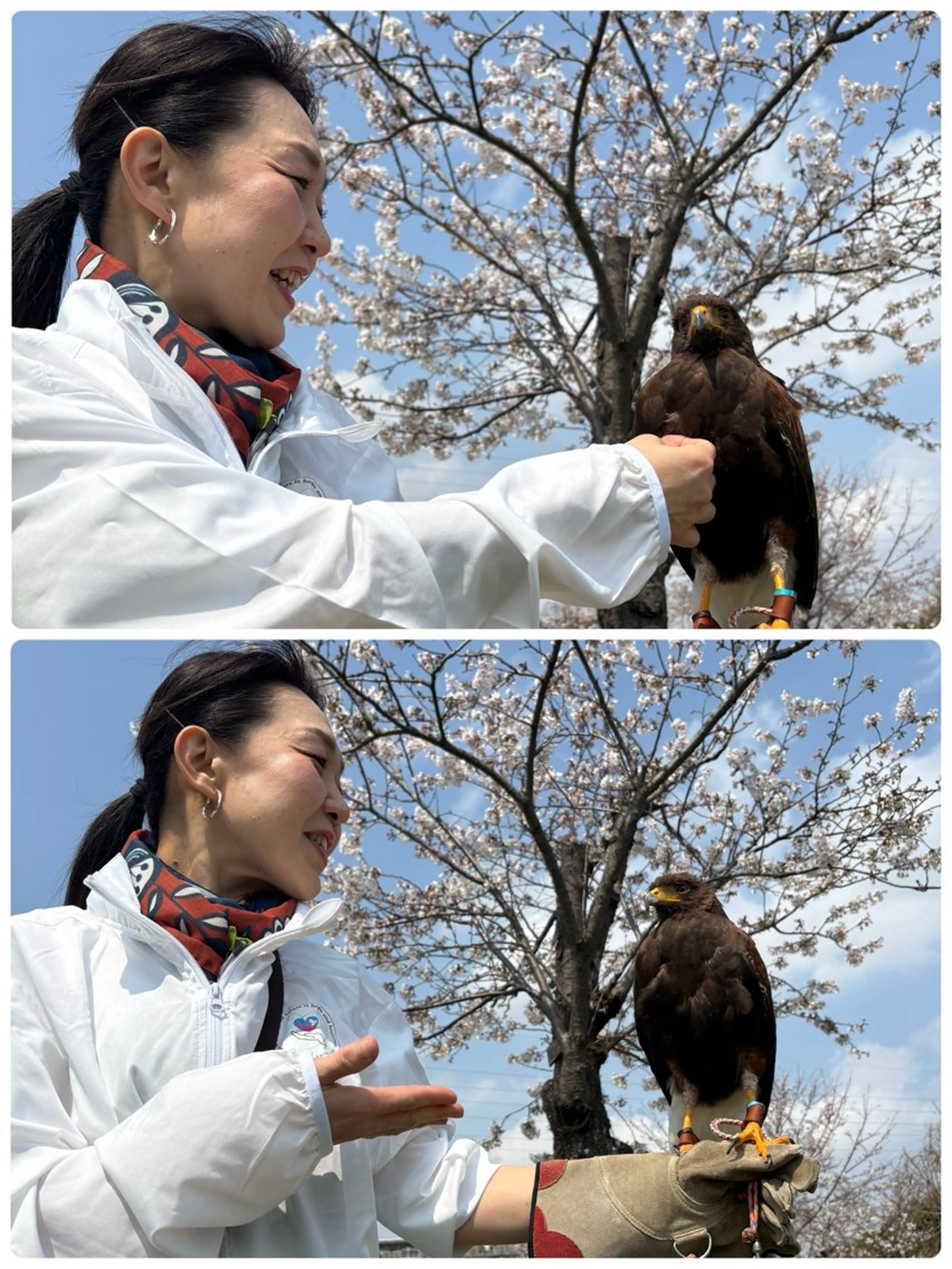 岩井 秋子のエステ・リラクイメージ