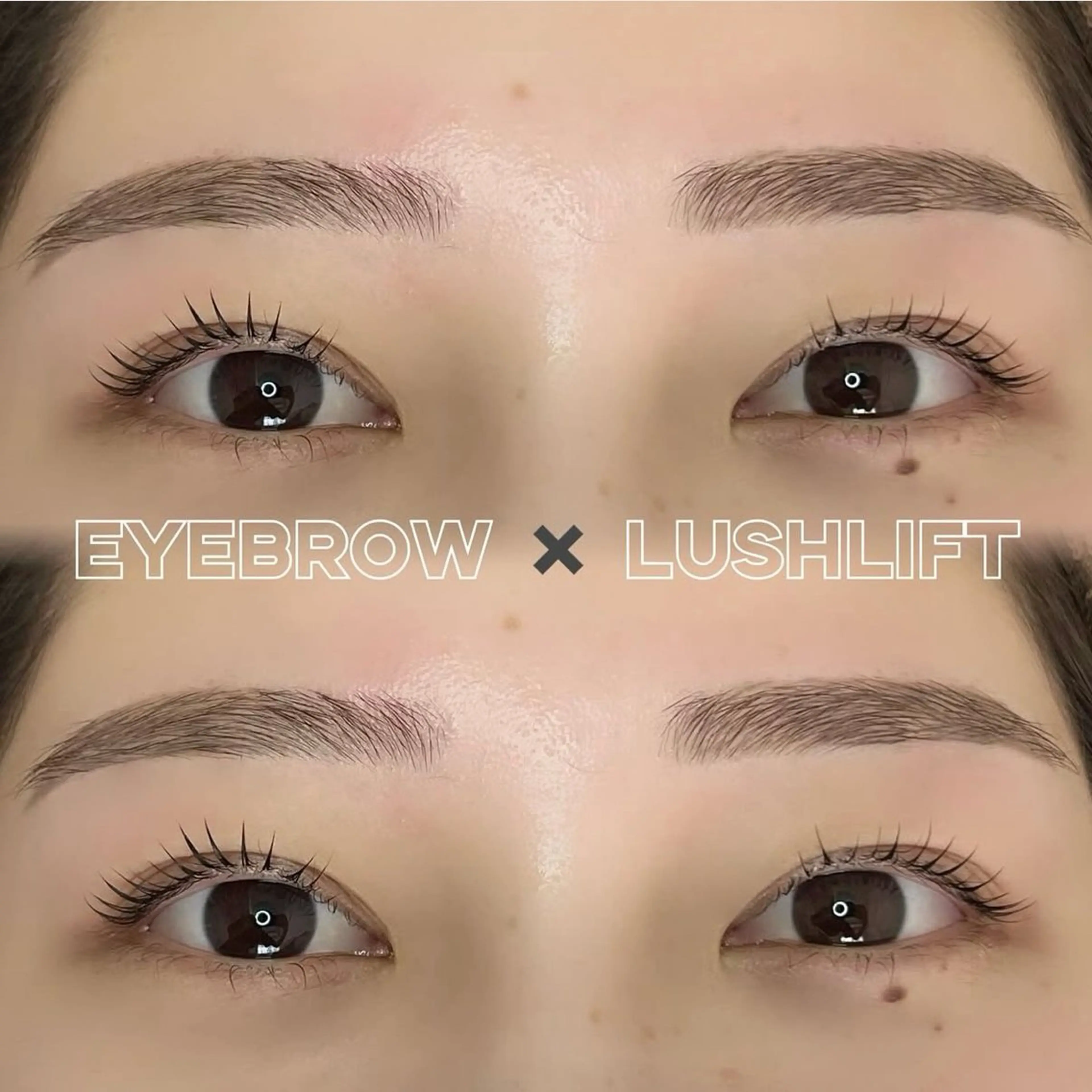 🌷【上まつげパーマ】カールが選べるまつげパーマ🌷の写真