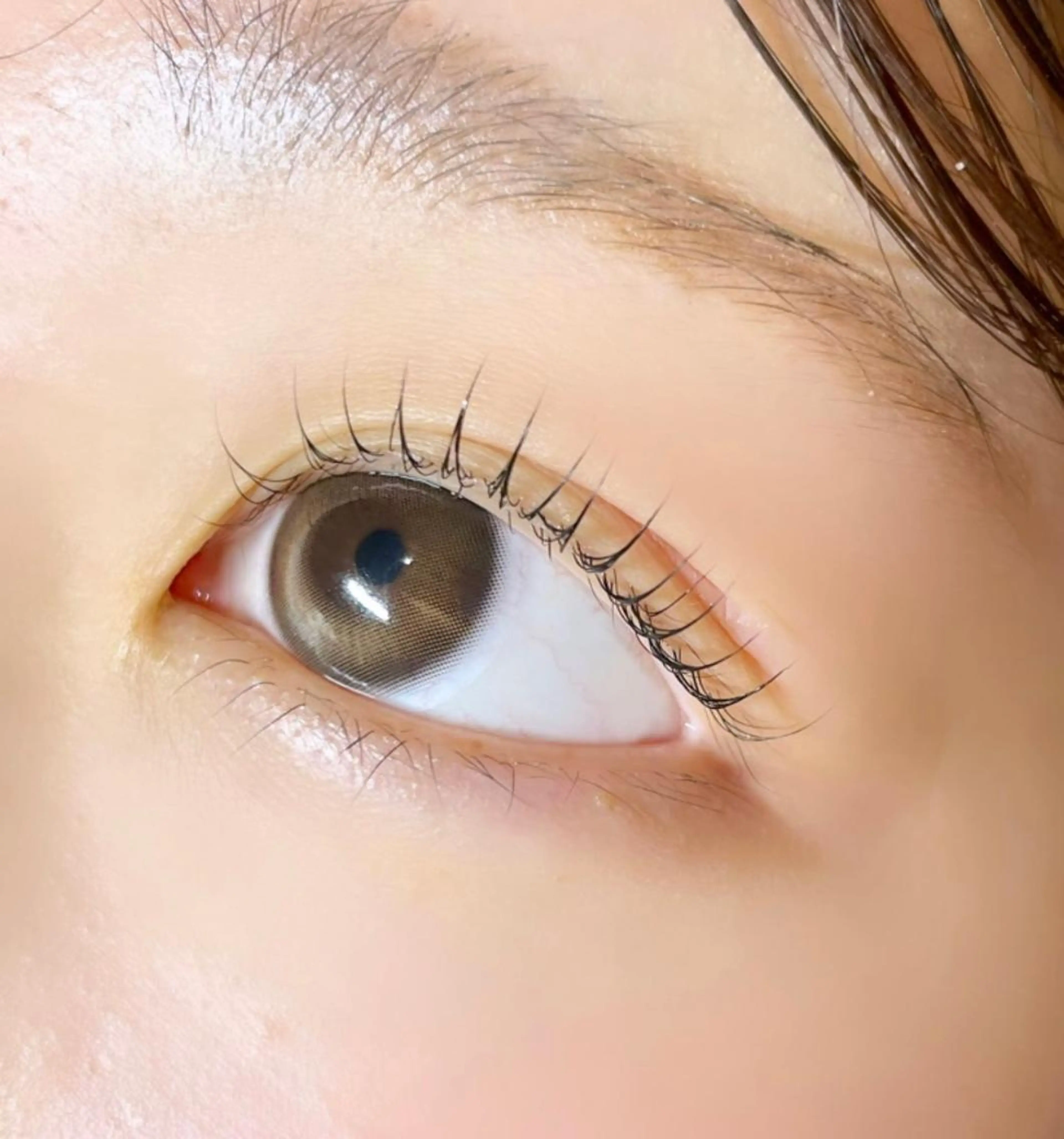 マツエク・マツパ 眉毛/まつ毛/代官山 アイサロン🌻NAEのマツエク・マツパデザイン