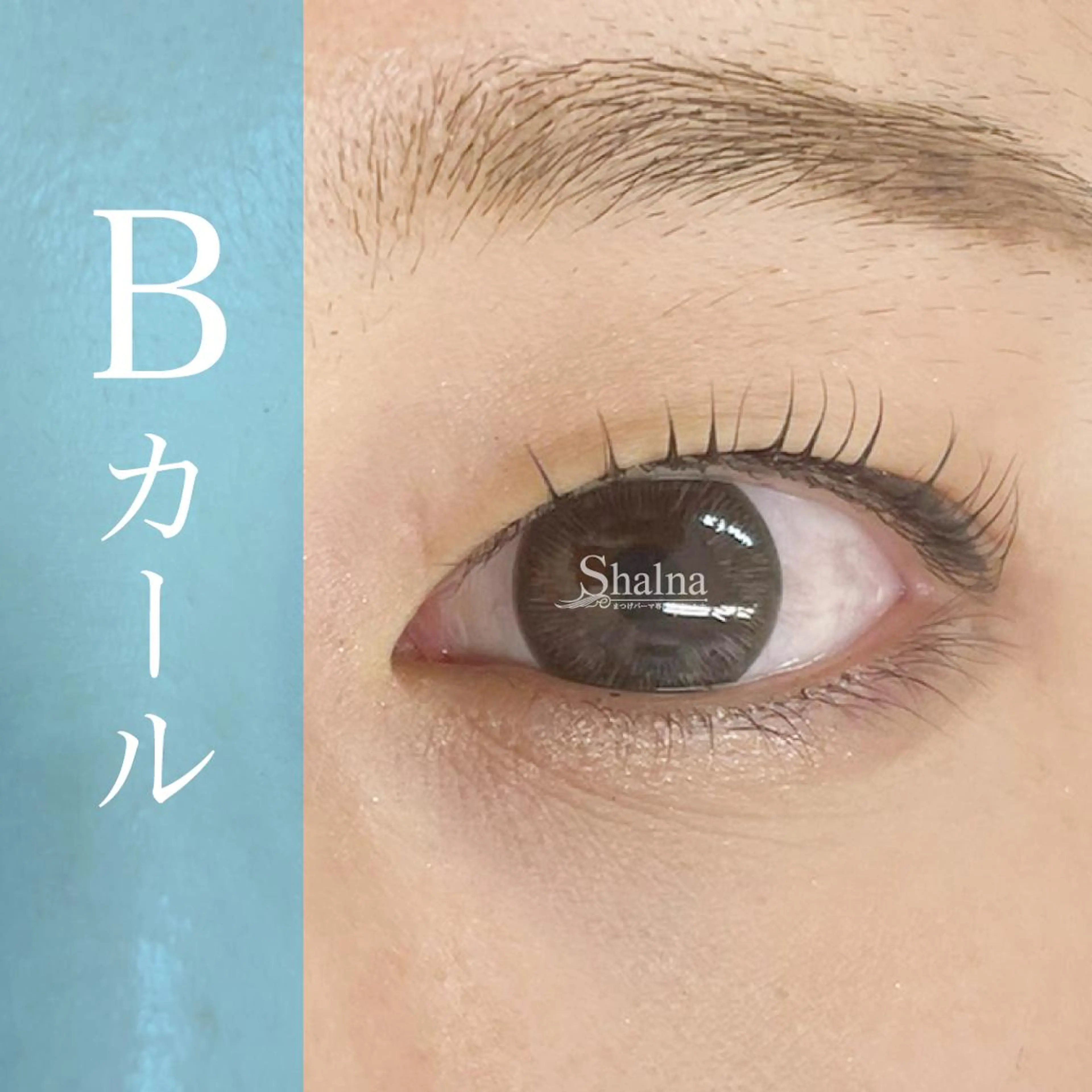 マツエク・マツパ Bカール まつげパーマ まつげパーマ専門店 シャルナ　柏店のマツエク・マツパデザイン