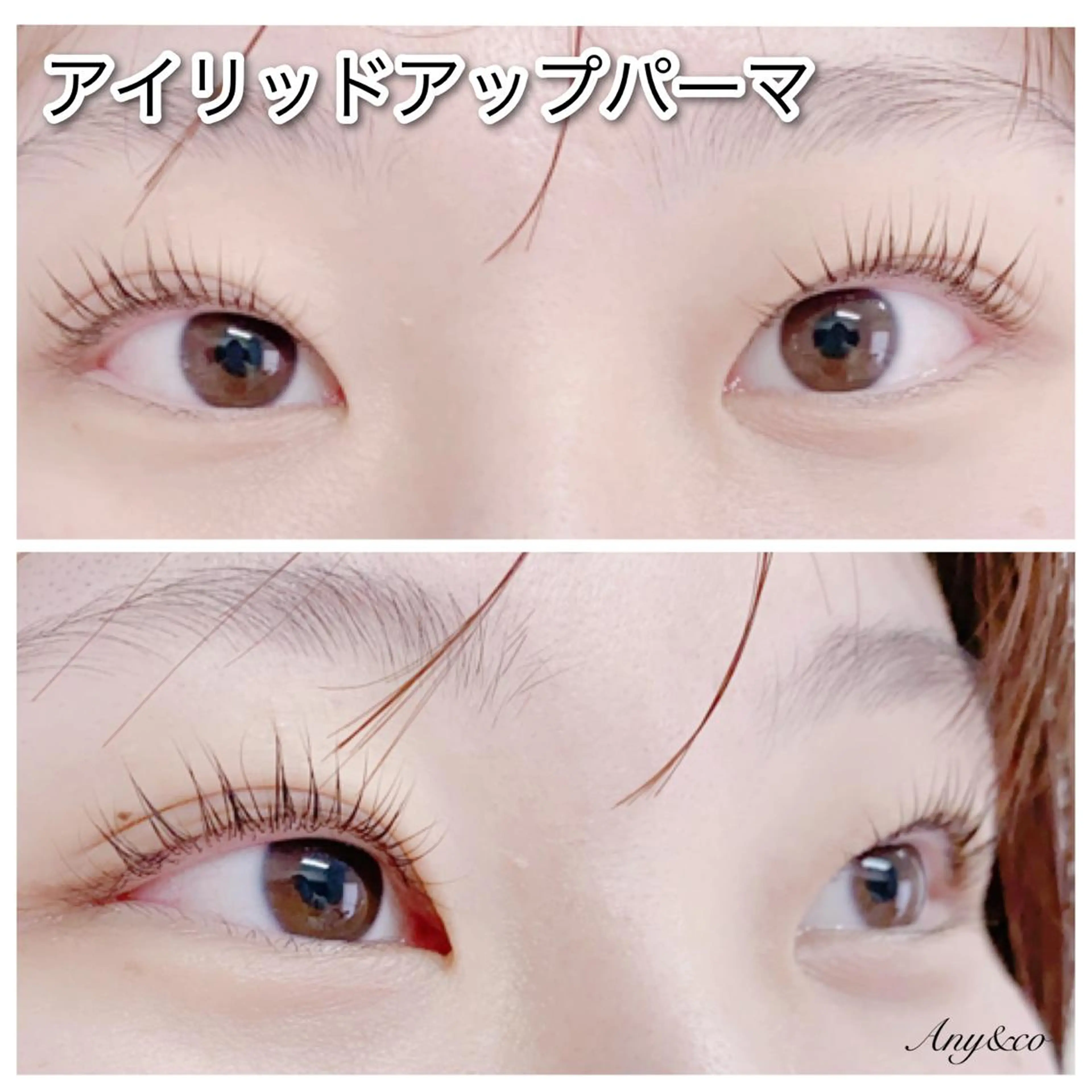 マツエク・マツパ アイリッドアップパーマ 一重×まつ毛パーマ Any&co 【エニコ】のマツエク・マツパデザイン