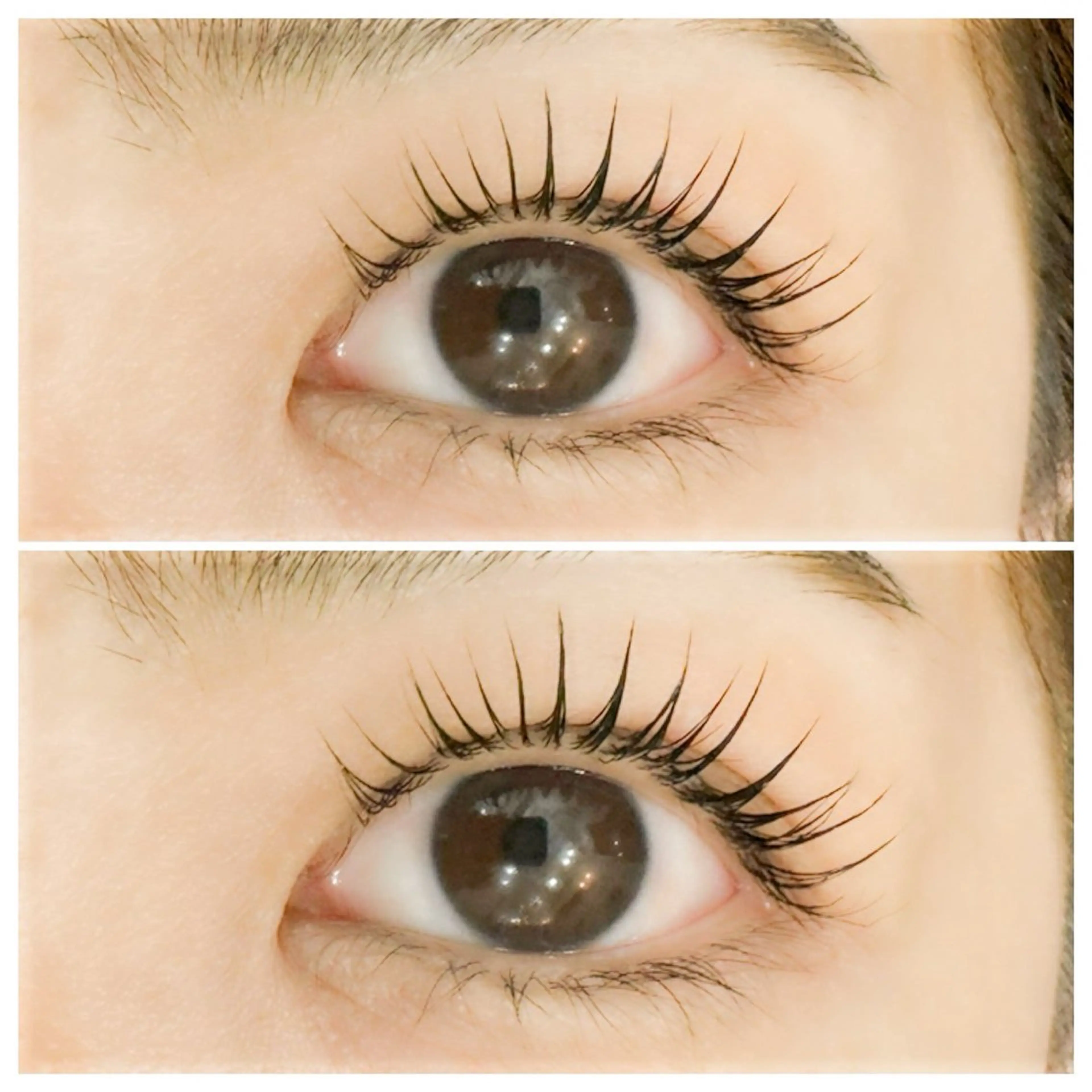 ラッシュリフト＋眉Wax脱毛✨¥9,900→¥8,250の写真