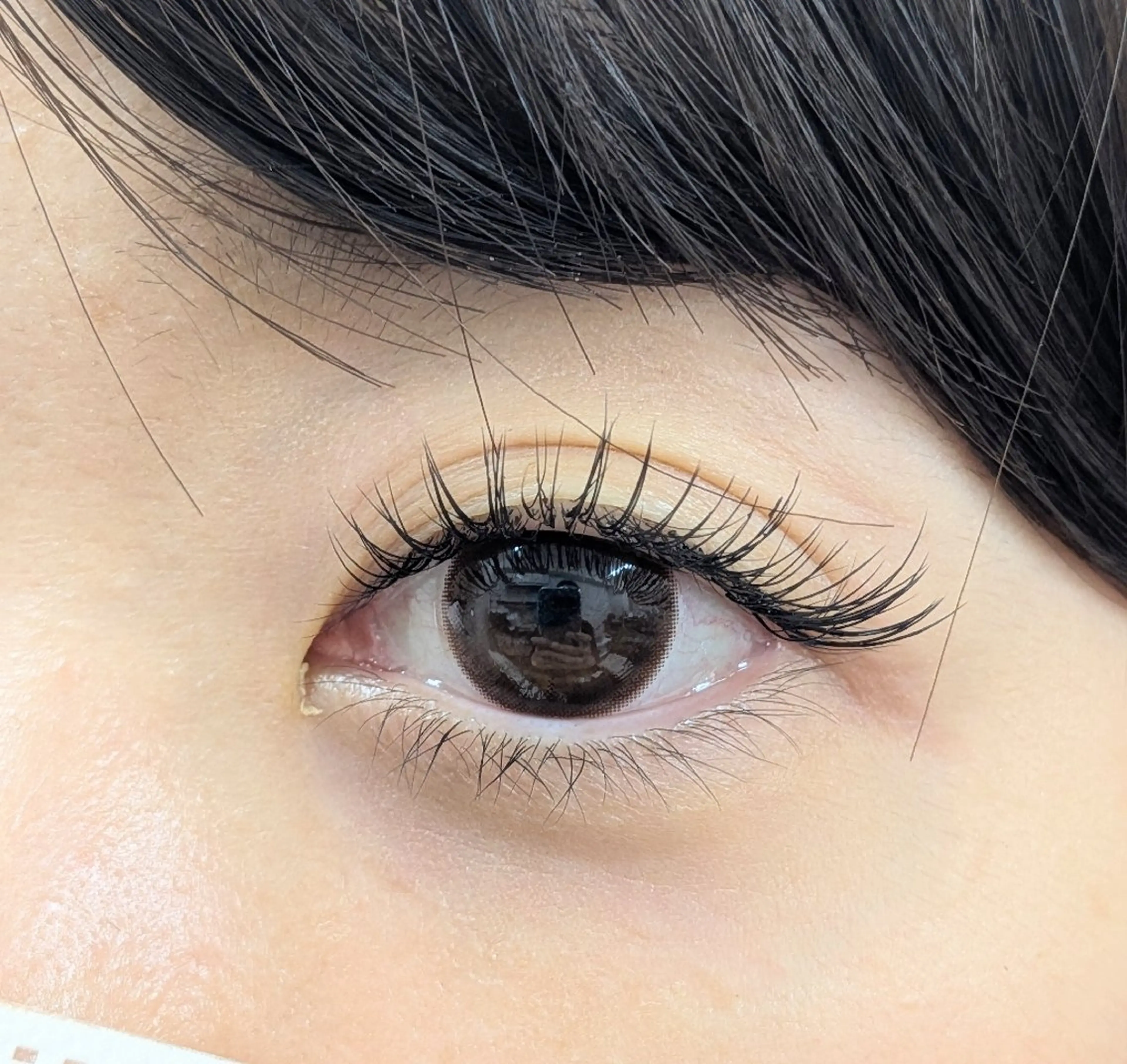 フラットラッシュ100本￥6600の写真