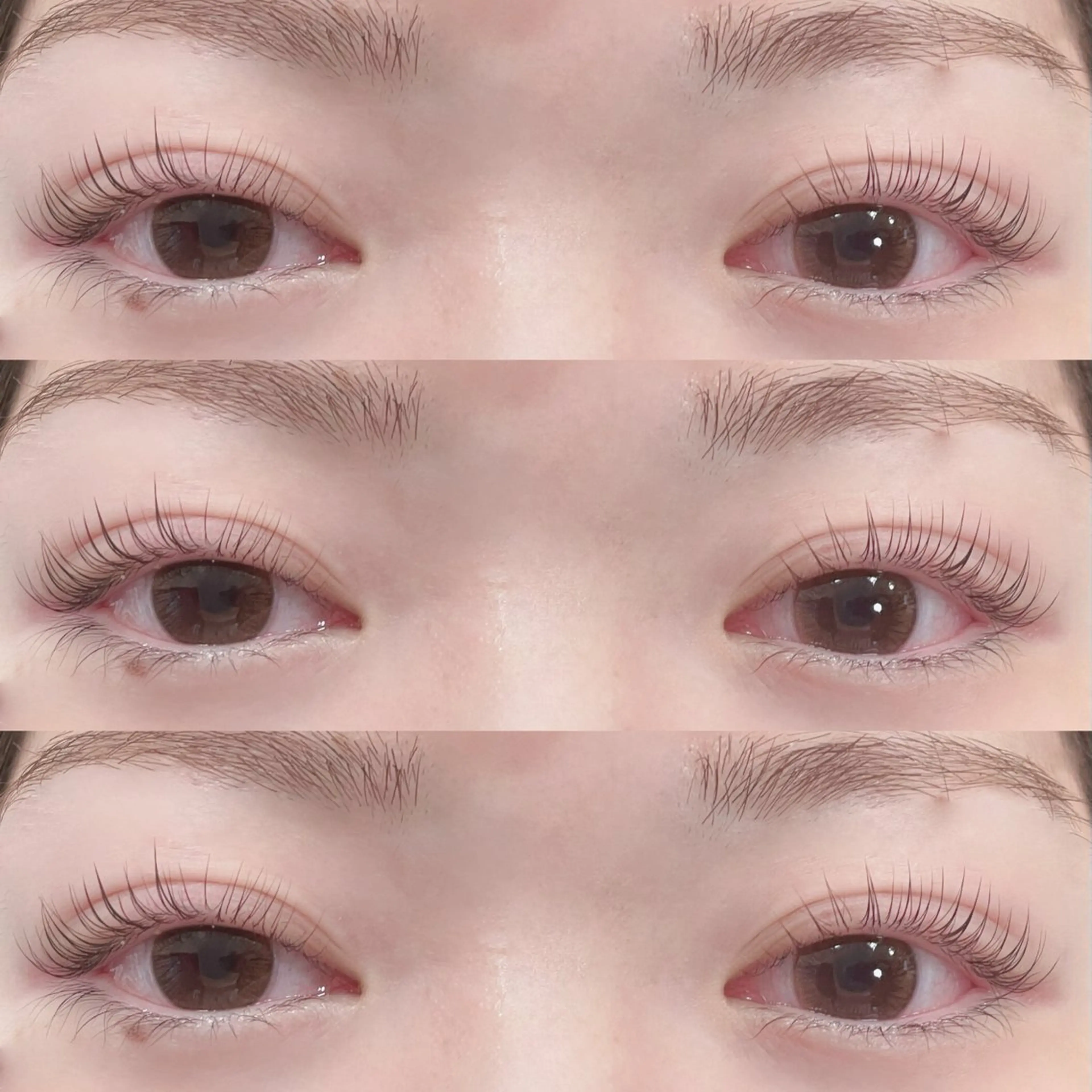 【当日限定】パリジェンヌラッシュリフト🩵4500円の写真