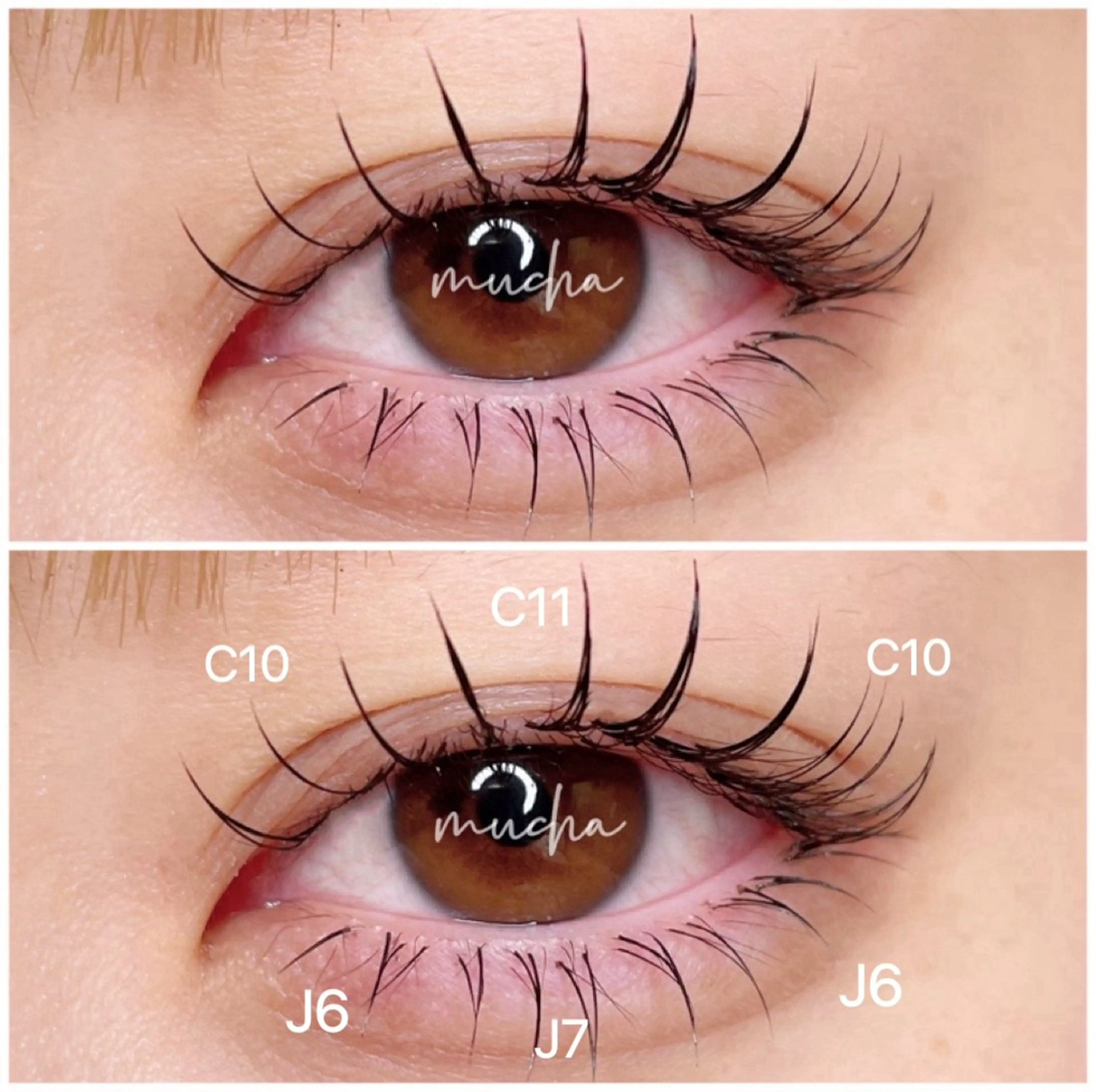 マツエク・マツパ Cカール フラットラッシュ Jカール ナチュラル 下まつげエクステ マツエク eyelash muchaのマツエク・マツパデザイン