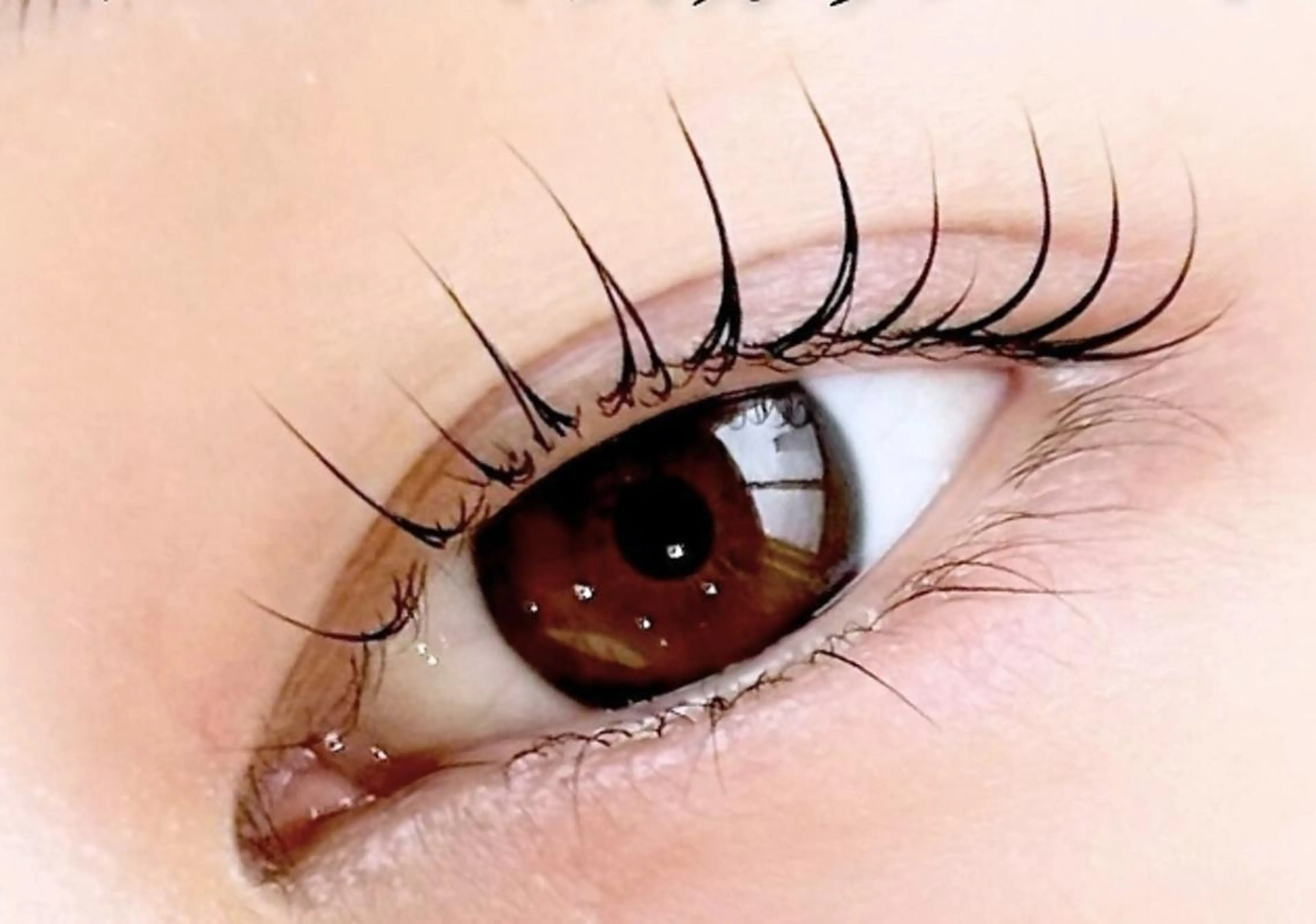 韓国で人気🤍マスカラパーマ🫶✨　コーティング仕上げ付き♪  ¥5500の写真