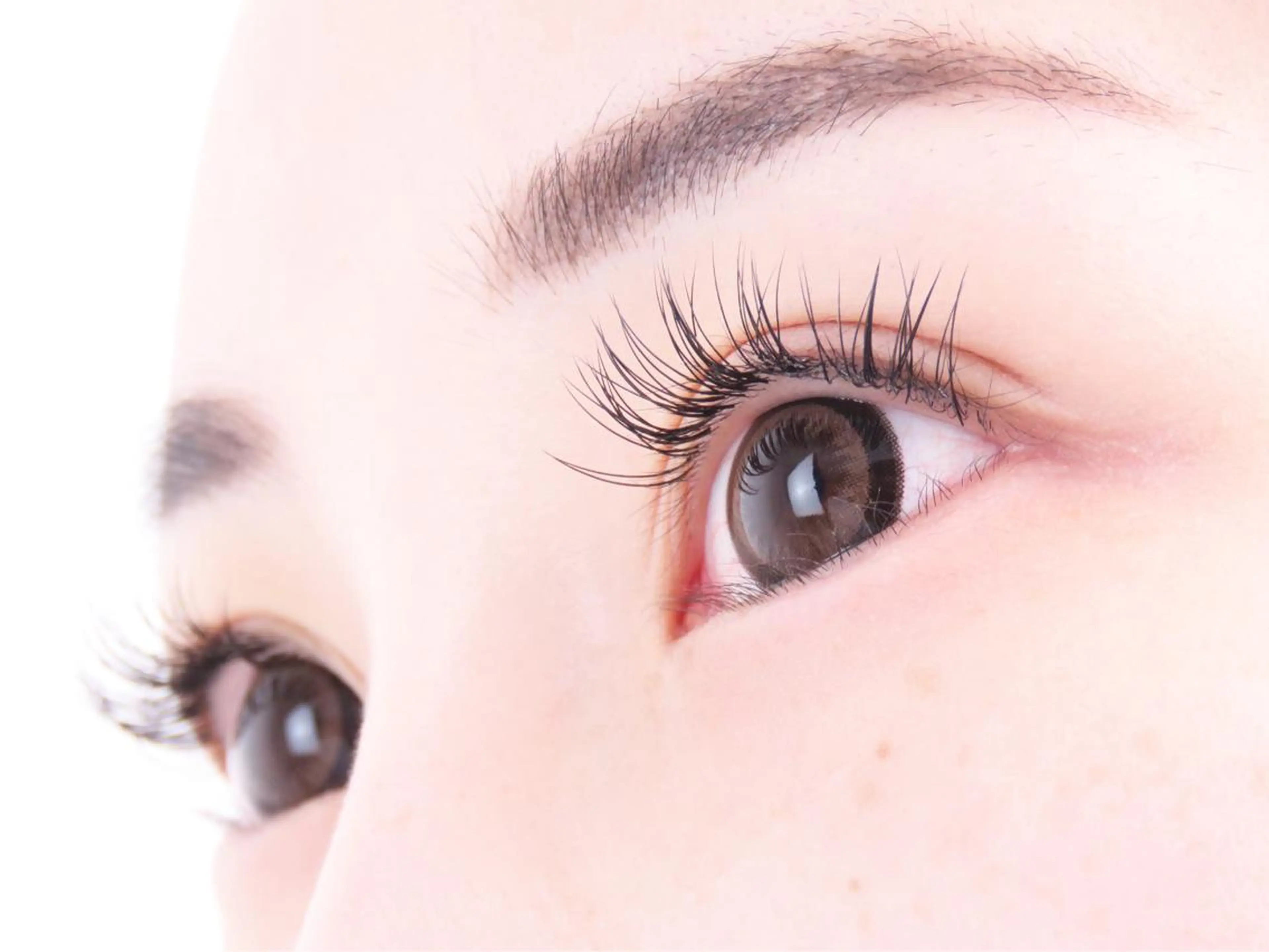 マツエク・マツパ セーブル Rubble 菊田のマツエク・マツパデザイン