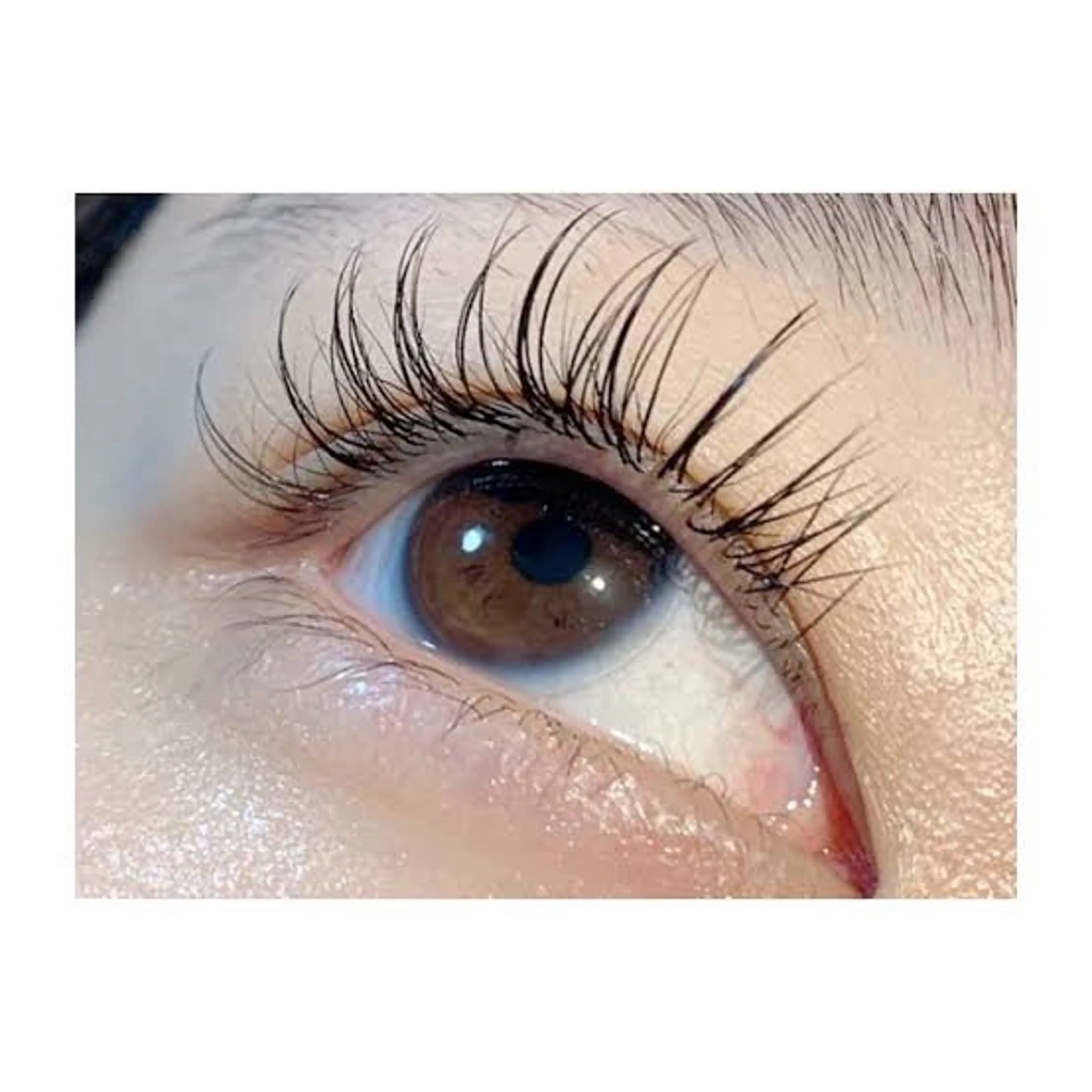 マツエク・マツパ 🎀EVEREYES 前久保🎀のマツエク・マツパデザイン