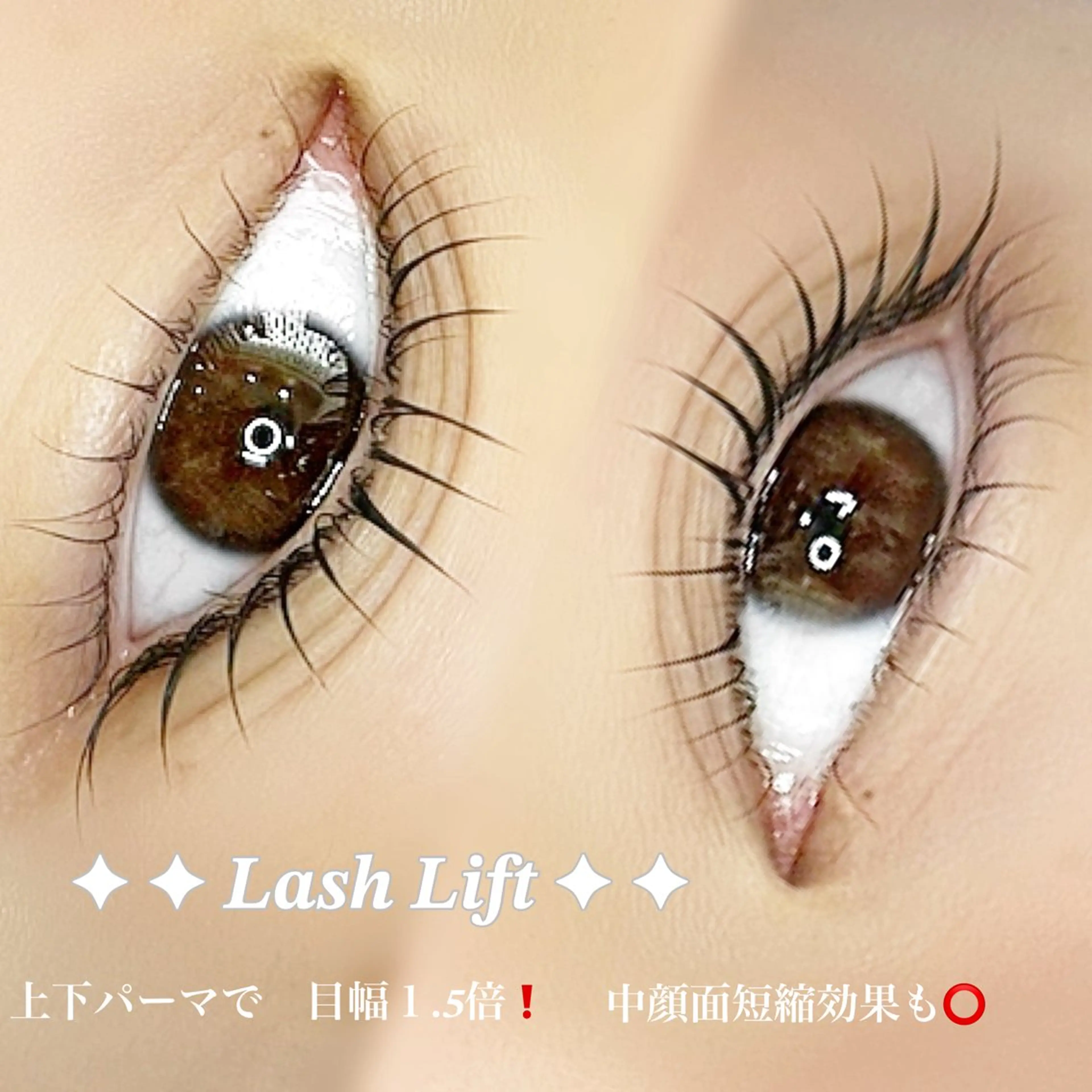 まつげパーマ✨【上下セット】✨+美容液コーティングの写真