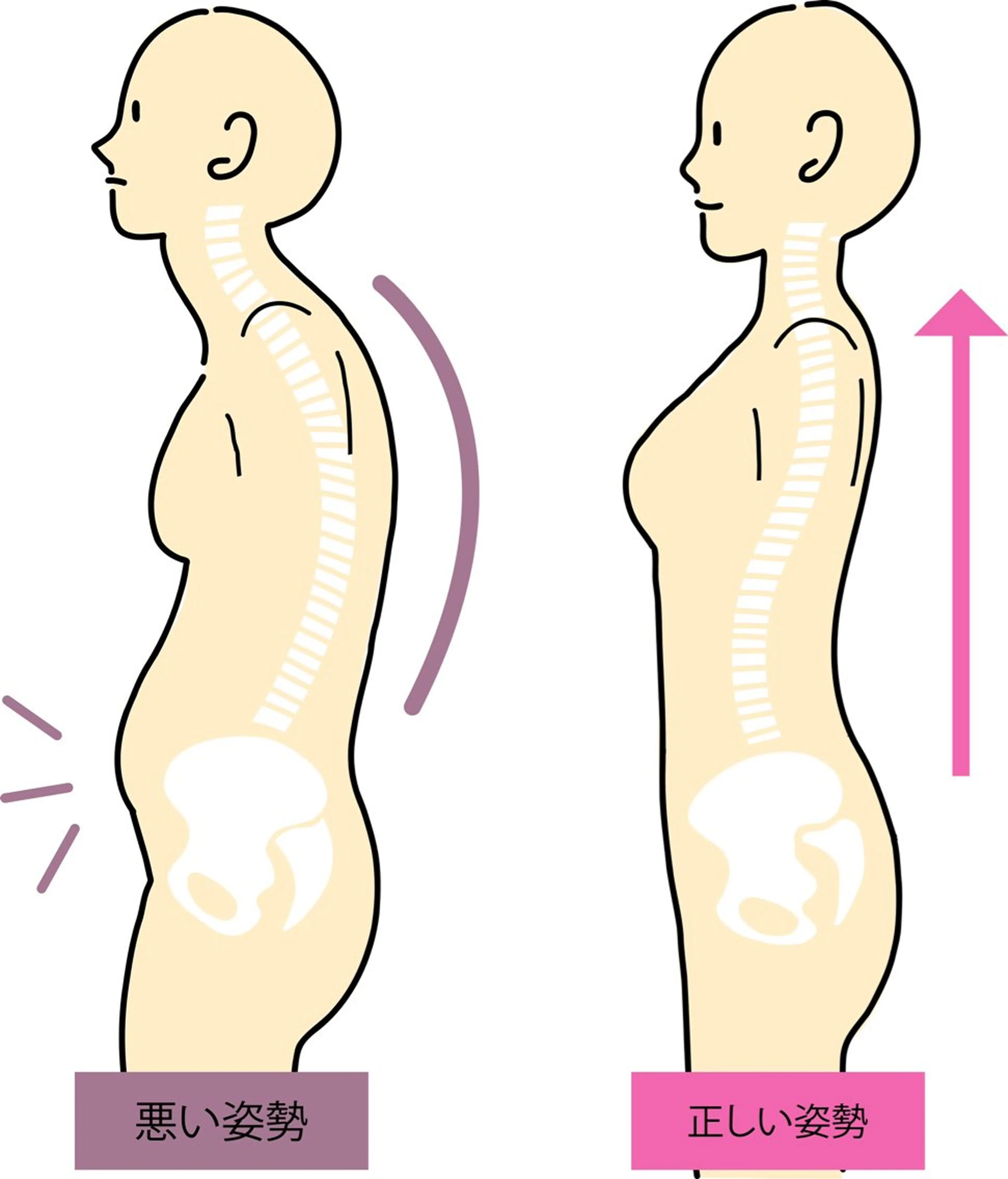 【白山〜野々市】美容 整体PONU(ポヌ)のエステ・リラクイメージ