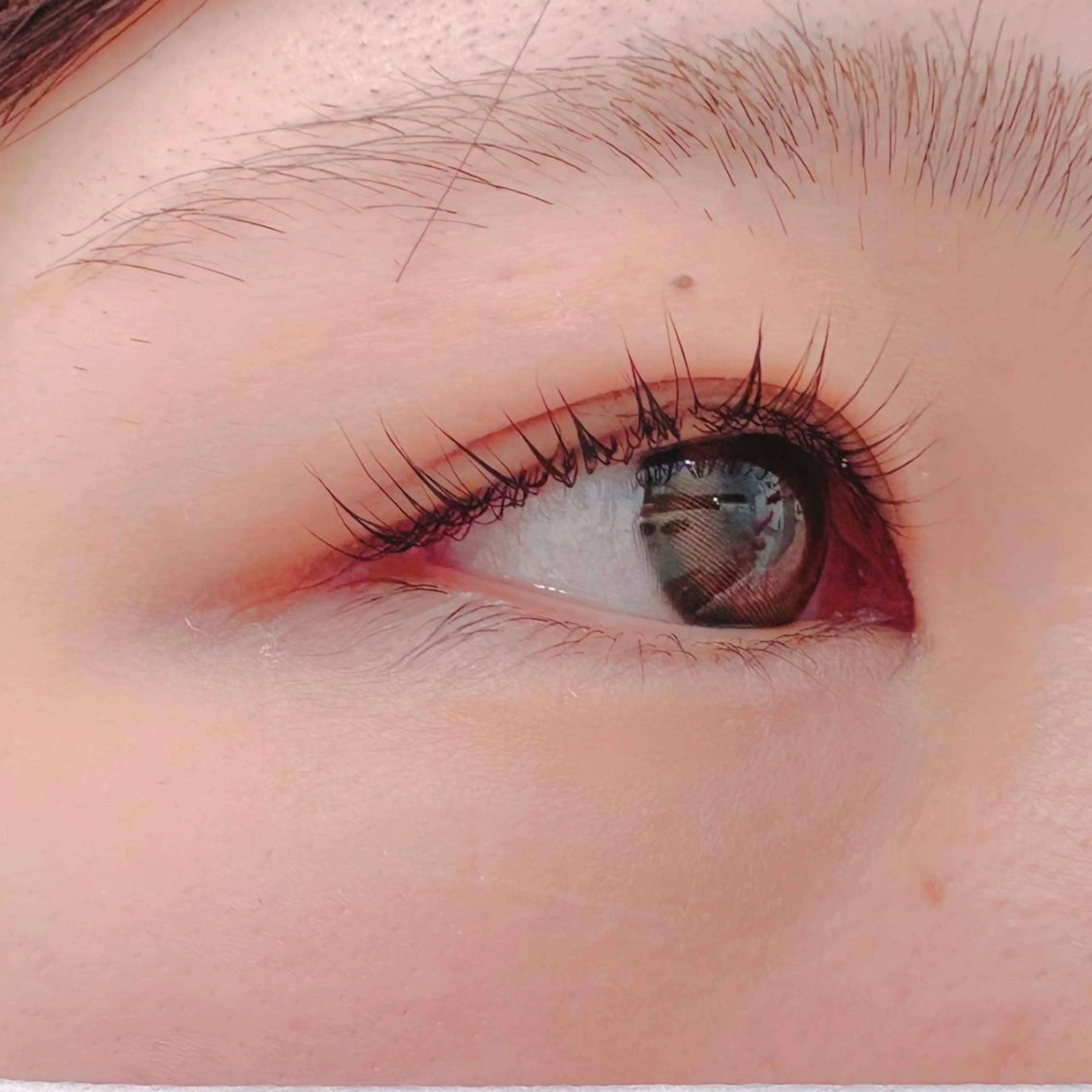 マツエク・マツパ マツパ blanca🌺 mayu(東白楽)の眉毛・アイブロウイメージ