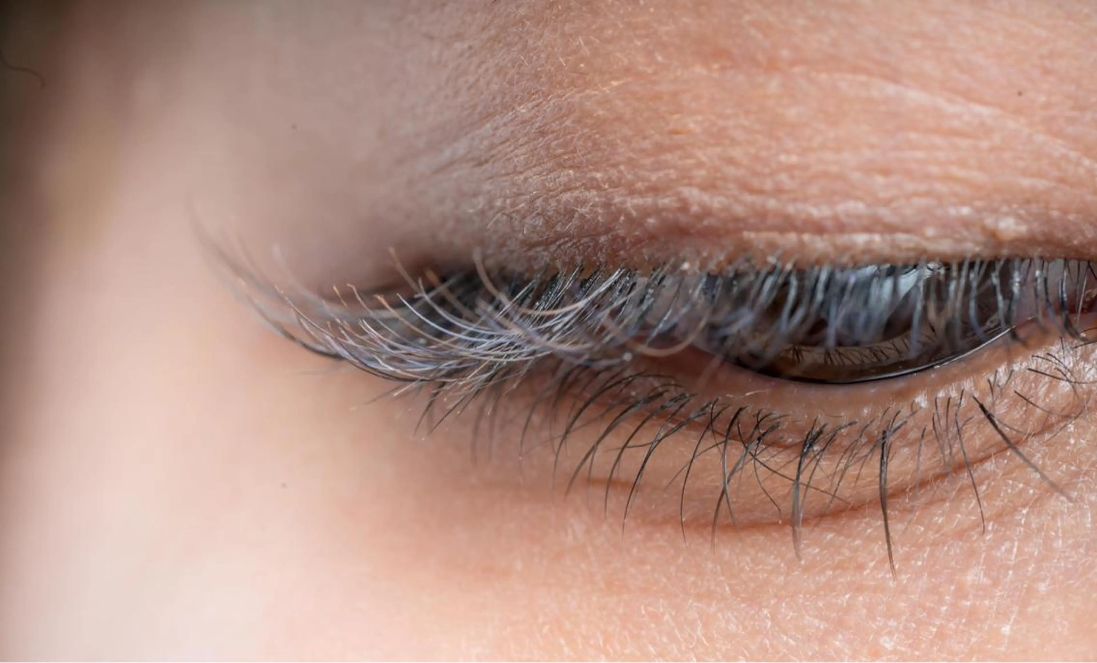 マツエク・マツパ マツエク eyelash MUGUETのマツエク・マツパデザイン