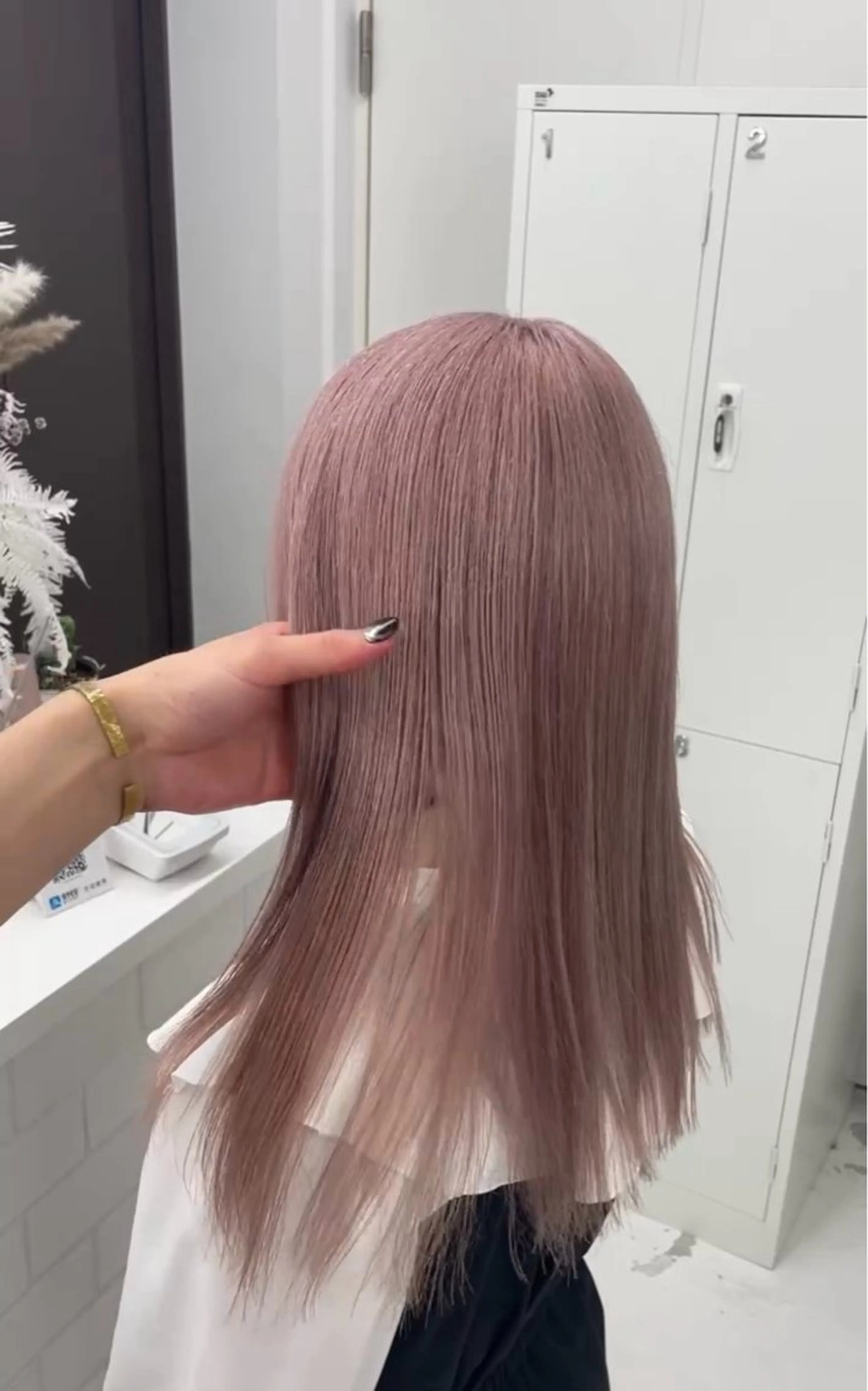 ワンカラーの写真