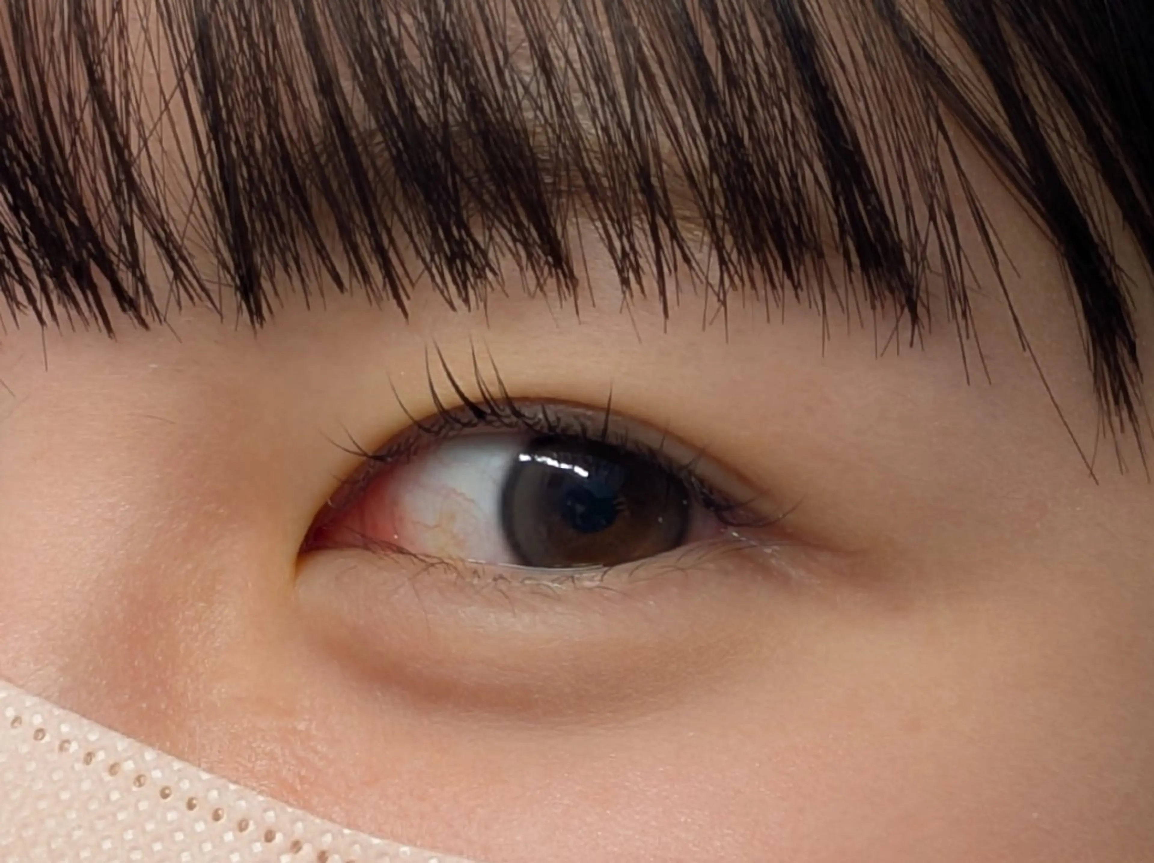 マツエク・マツパ パリジェンヌラッシュリフト まつげパーマ Sun Brown Ryu-gaのマツエク・マツパデザイン